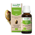 Tilleul BIO Macérat mère bourgeons Flacon 30 ml HERBALGEM - TrustMedUSA