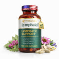 TitanVex Lymphaid - Lymphatic Drainage Supplement 100 Vegan Capsules, Herbal Lymphatic Support with Echinacea and Dandelion, Antioxidant, Respiratory and Urinary Wellbeing - Maple Wellness Supplements