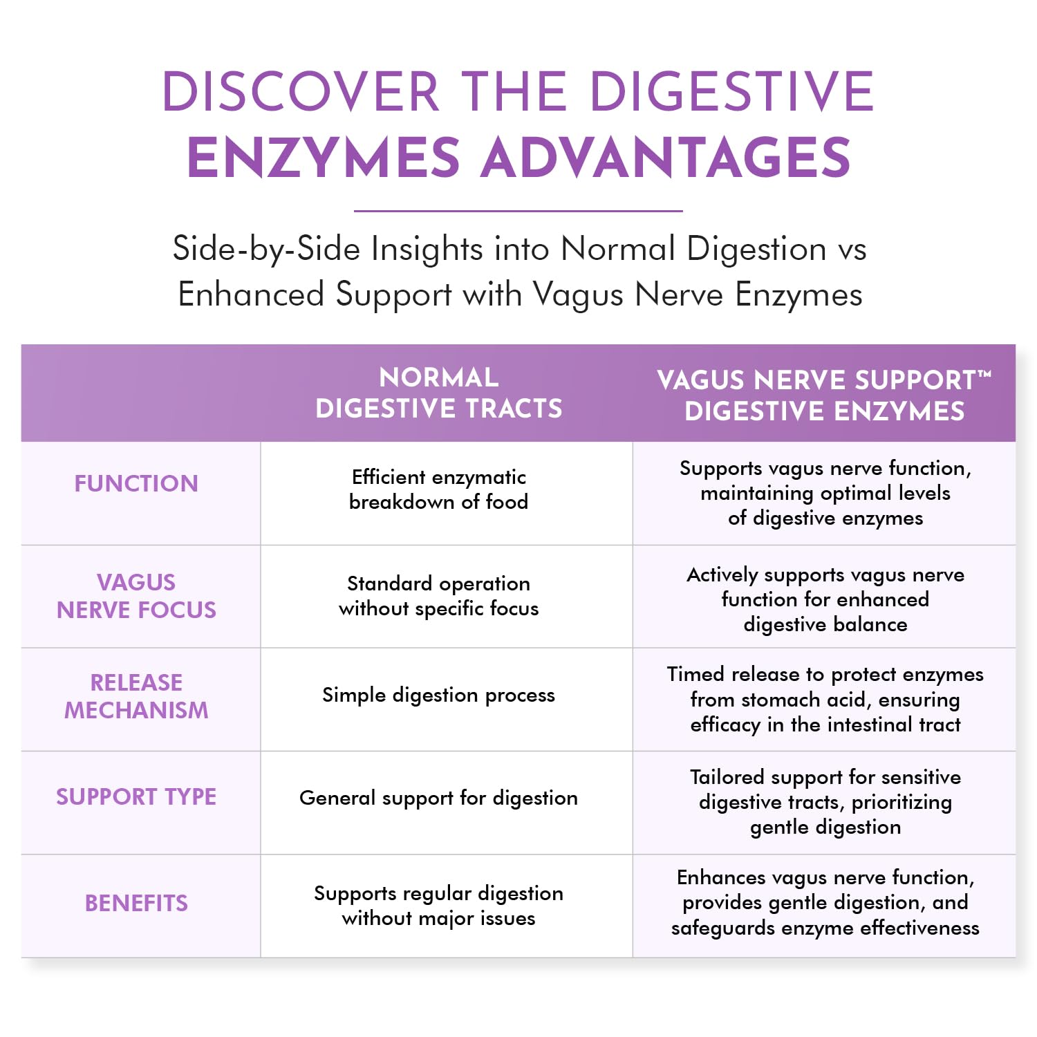 TJ Nutrition Digestive Enzymes for Sensitive Stomachs - Supports Vagus Nerve, Vegetarian Pancreatic Support, Timed Release Formula for Optimal Gut Health, Enhances Food Digestion & Gut Flora - TrustMedUSA