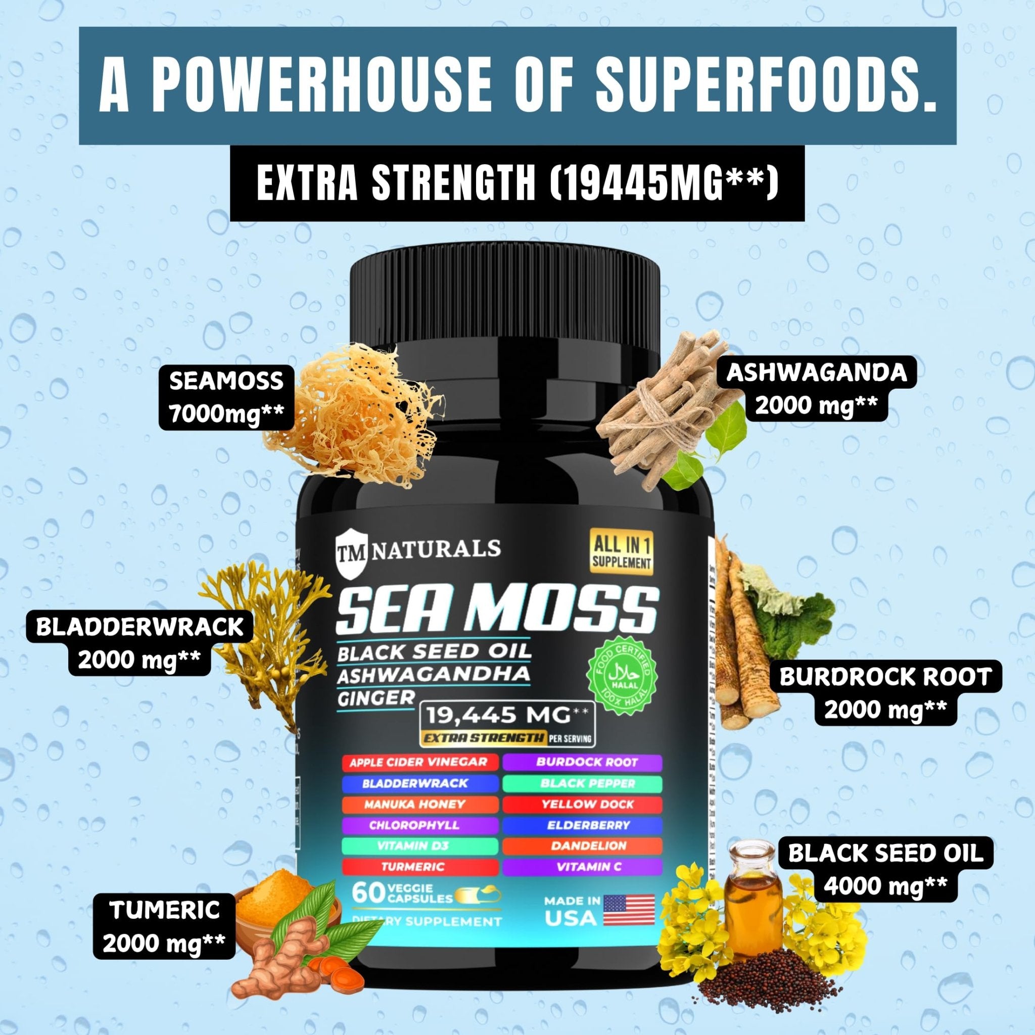 TM NATURALS Sea Moss with Black Seed Oil, Vitamin C, Ashwagandha and Turmeric for Immune Support & Energy - 60 Vegan Capsules + Free Pill Box - TrustMedUSA