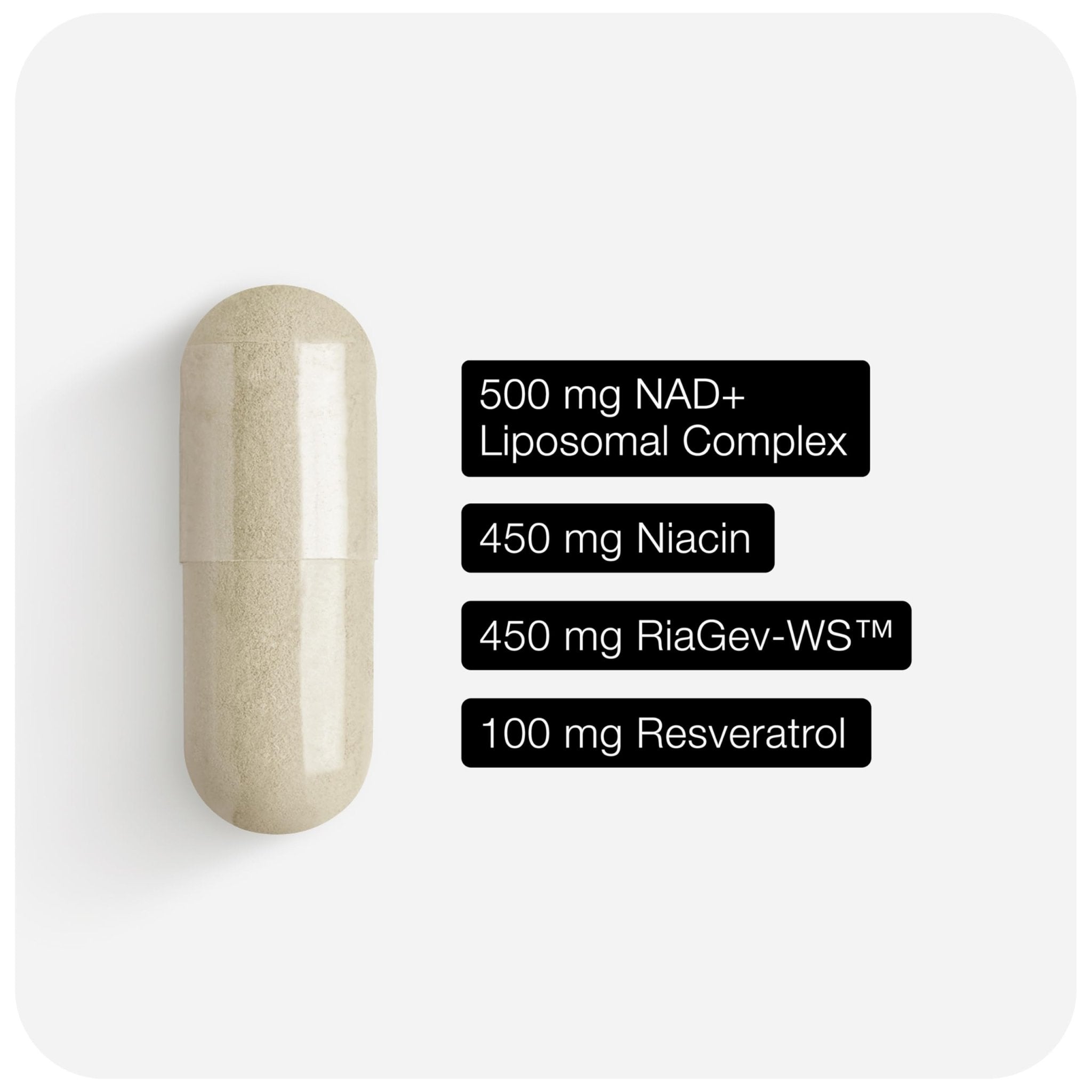 Toniiq Liposomal NAD+ and Resveratrol Supplement - 1500mg Ultra High Strength NAD Supplement - Clinically Studied Ingredients with Patented RiaGev-WS™, Resveratrol, and Niacin - 60 Capsules - Maple Wellness Supplements
