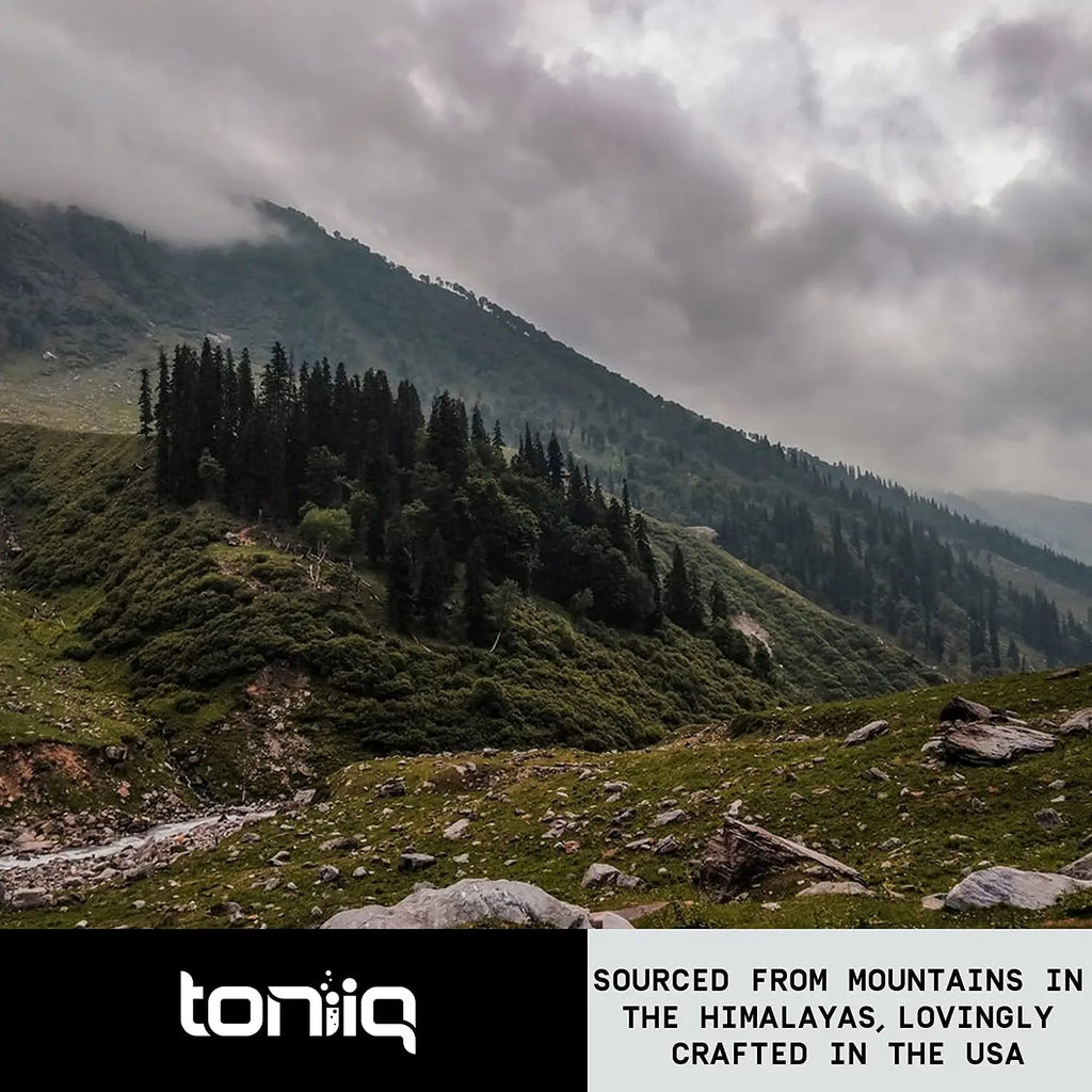 Toniiq Ultra High Strength Berberine HCl 500mg from The Himalayas - Berberine Suppleme - TrustMedUSA