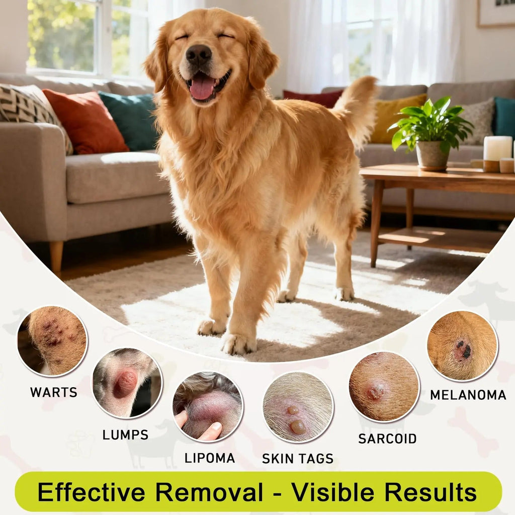 Topical 99.995% DMSO for Dogs Lipoma, Lipoma Treatment for Dogs, Reduce Fatty Lumps and Bumps Inflammation, Swelling, Dog Pain Relief, DMSO in Glass Bottle with Precision Dropper, 1.7 oz - TrustMedUSA