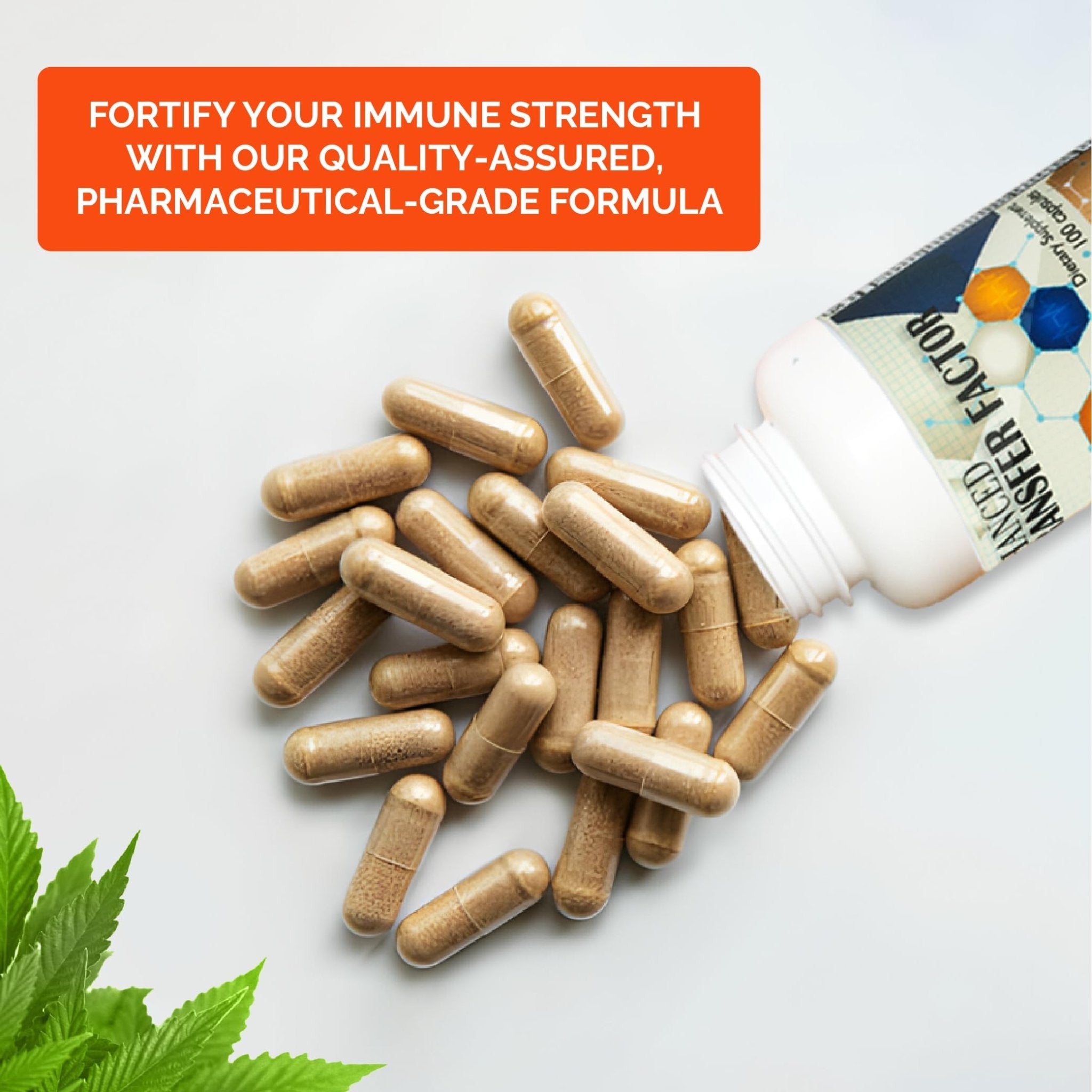 Transfer Factor Enhanced, 100 Natural Capsules, Immune Support - Transfer Factor Multi Immune from Cow Colostrum, Egg Yolk & Special Blend of Mushrooms - TrustMedUSA