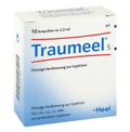 Traumeel S Liquid Dilution, 10 x 2,2ml Amp - Maple Wellness Supplements
