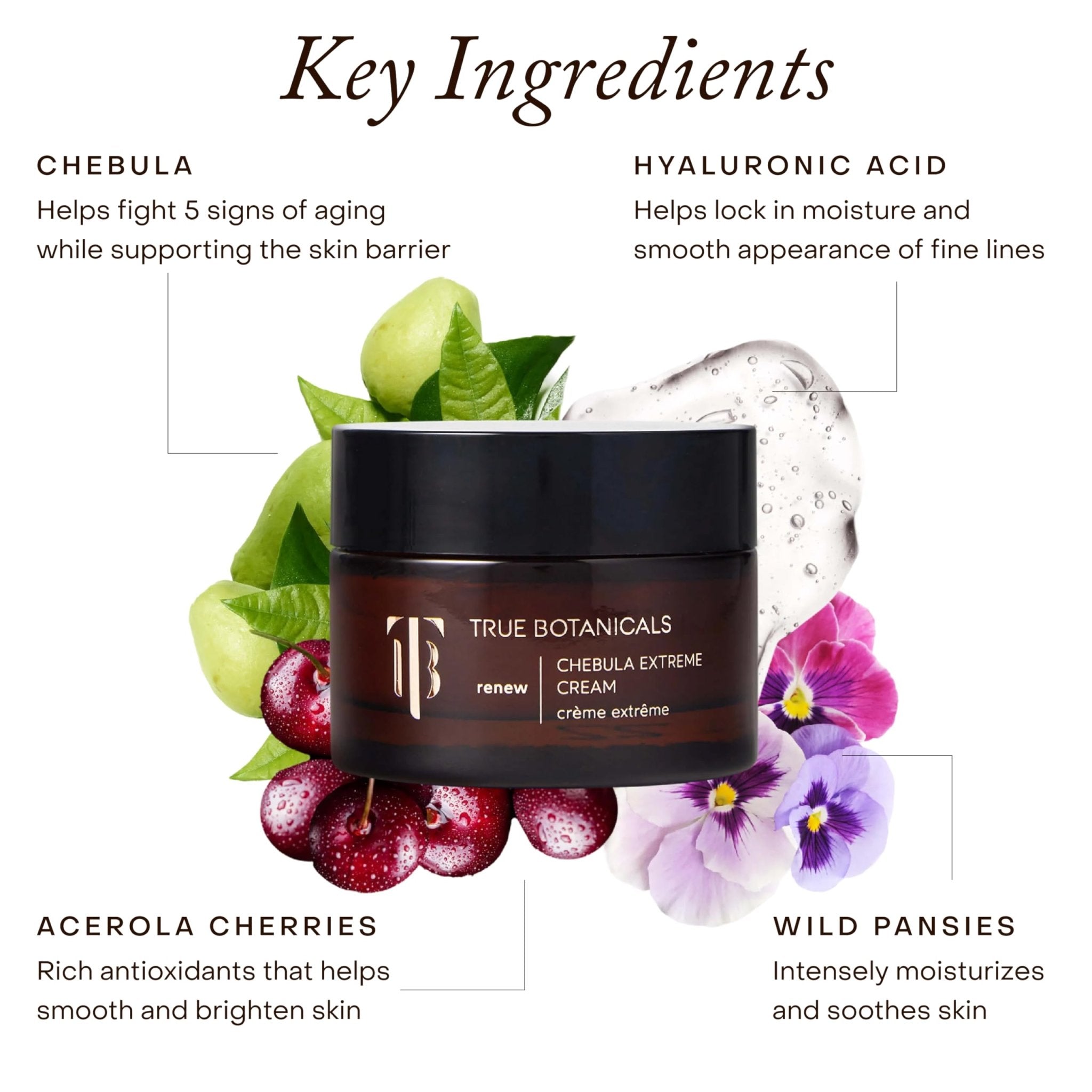 True Botanicals Chebula Extreme Cream | Anti-Aging Moisturizer w/Hyaluronic Acid | Treats Fine Lines & Wrinkles | Dry & Sensitive Skin | Dermatologist Tested, All Natural, Vegan | 1.7 oz | 50 ml - Maple Wellness Supplements