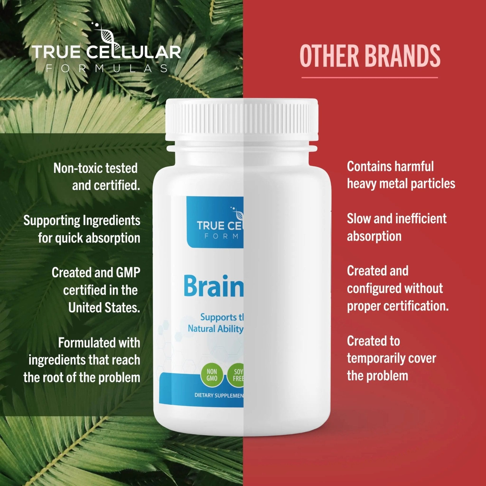 True Cellular Formulas BrainDTX - Supports Cognitive Function, Focus & Mental Clarity - Promotes Clear Thinking & Memory - with Alpha Lipoic Acid & Biotin - Antioxidant Support - 60 Capsules - TrustMedUSA