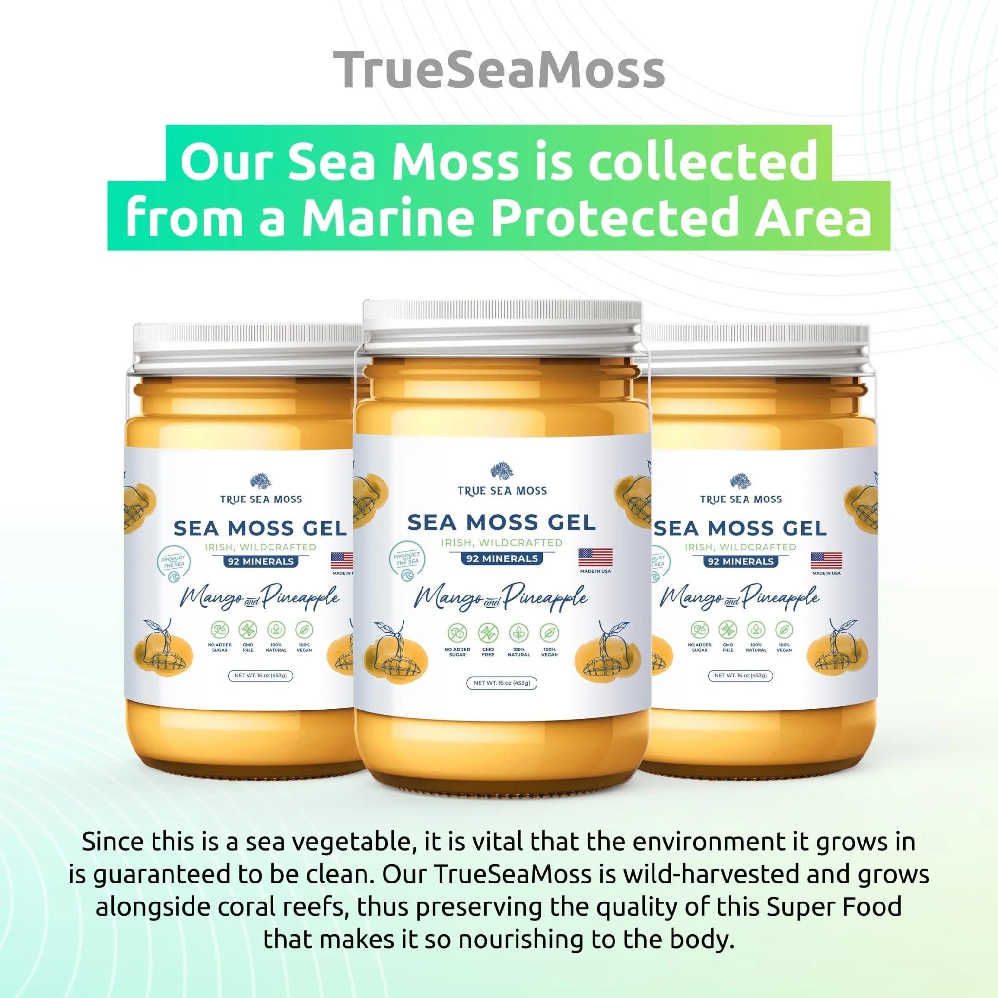 TrueSeaMoss Wildcrafted Irish Sea Moss Gel – Nutritious Organic Raw Seamoss Rich - TrustMedUSA