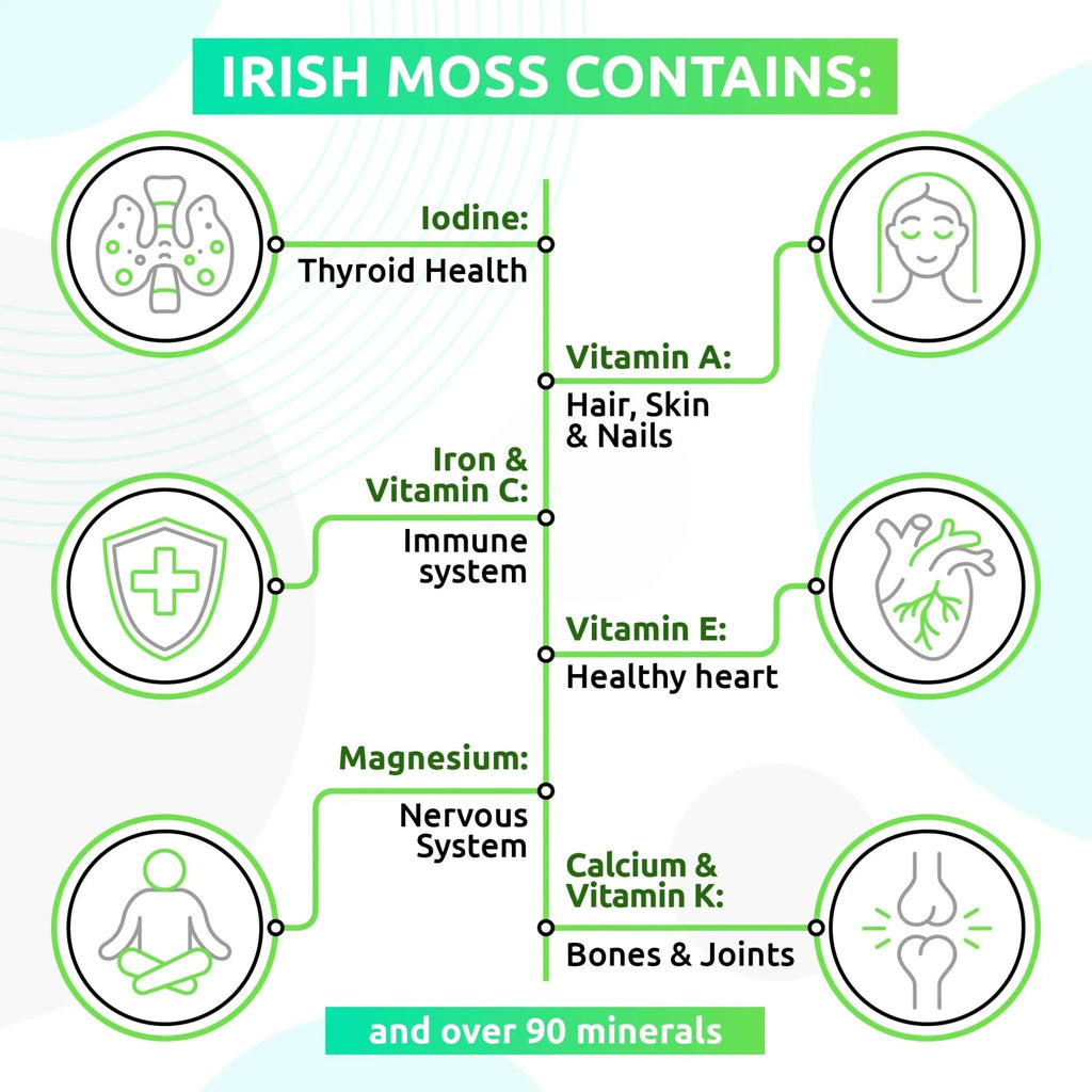 TrueSeaMoss Wildcrafted Irish Sea Moss Gel – Nutritious Organic Raw Seamoss Rich - TrustMedUSA