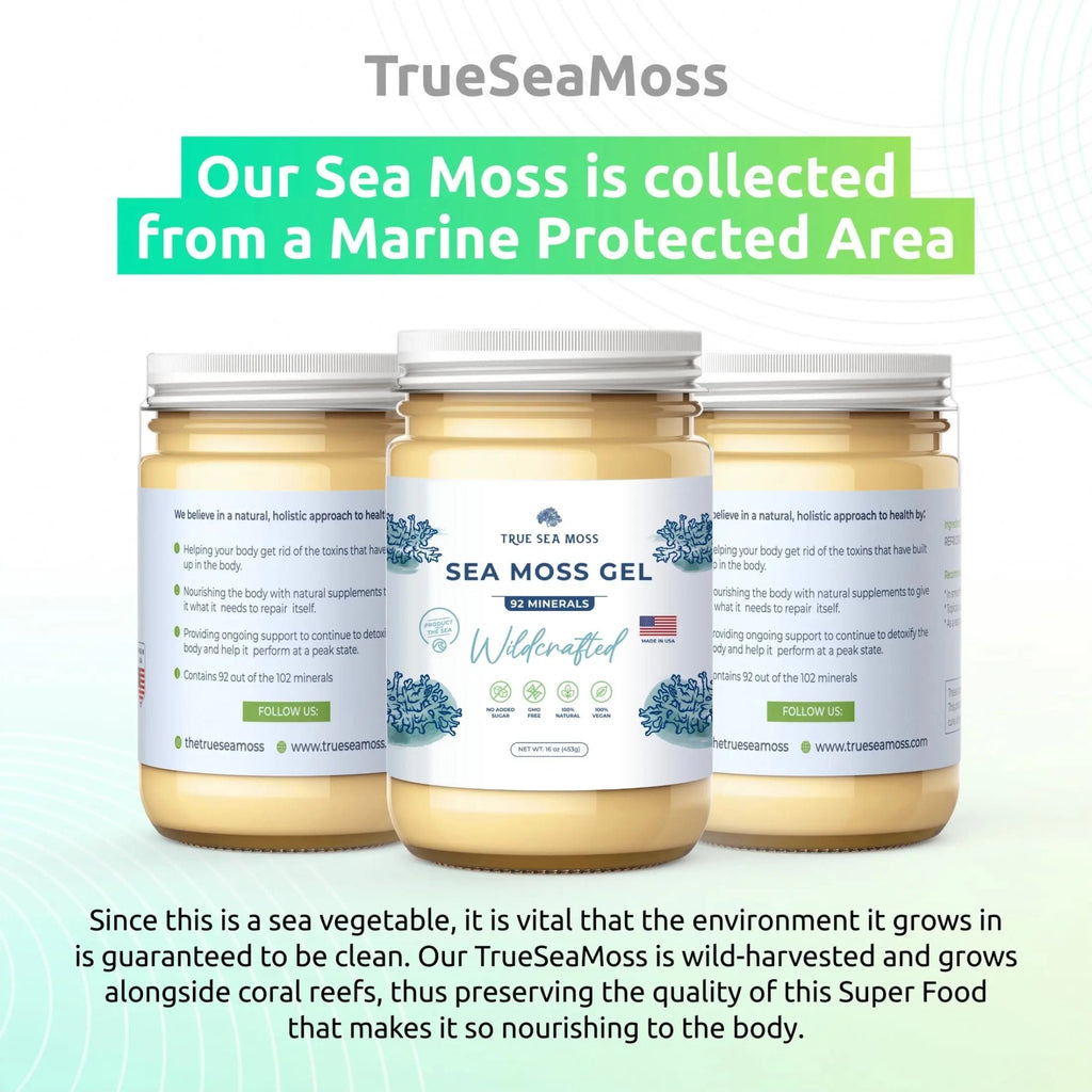 TrueSeaMoss Wildcrafted Irish Sea Moss Gel – Nutritious Raw Seamoss Rich in Minerals - TrustMedUSA