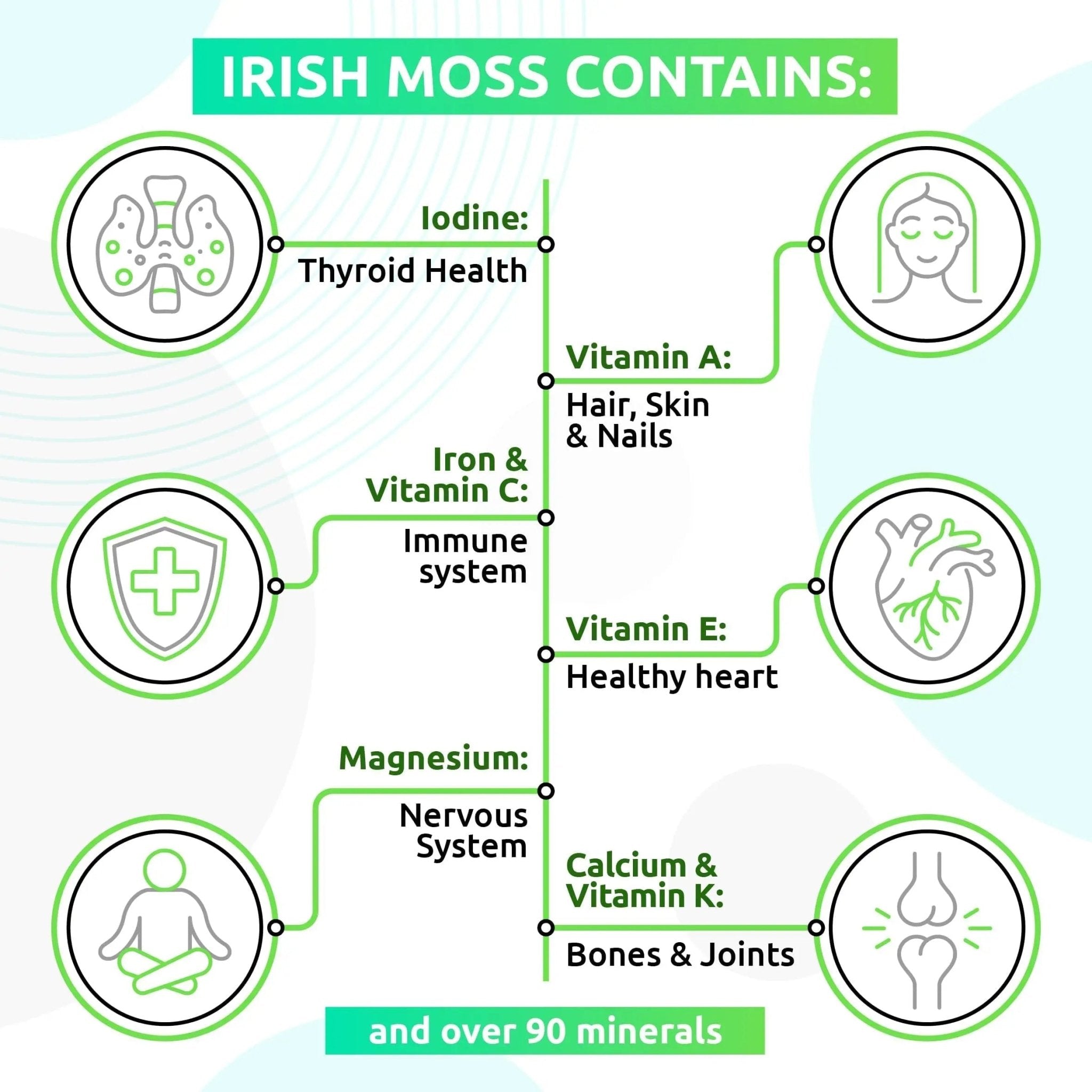 TrueSeaMoss Wildcrafted Irish Sea Moss Gel – Nutritious Raw Seamoss Rich in Minerals - TrustMedUSA