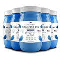 TrueSeaMoss Wildcrafted Irish Sea Moss Gel – Nutritious Raw Seamoss Rich in Minerals - TrustMedUSA