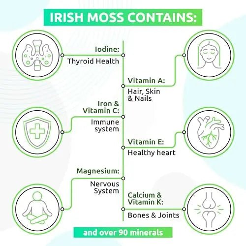TrueSeaMoss Wildcrafted Irish Sea Moss Gel – Nutritious Raw Seamoss Rich in Minerals - TrustMedUSA