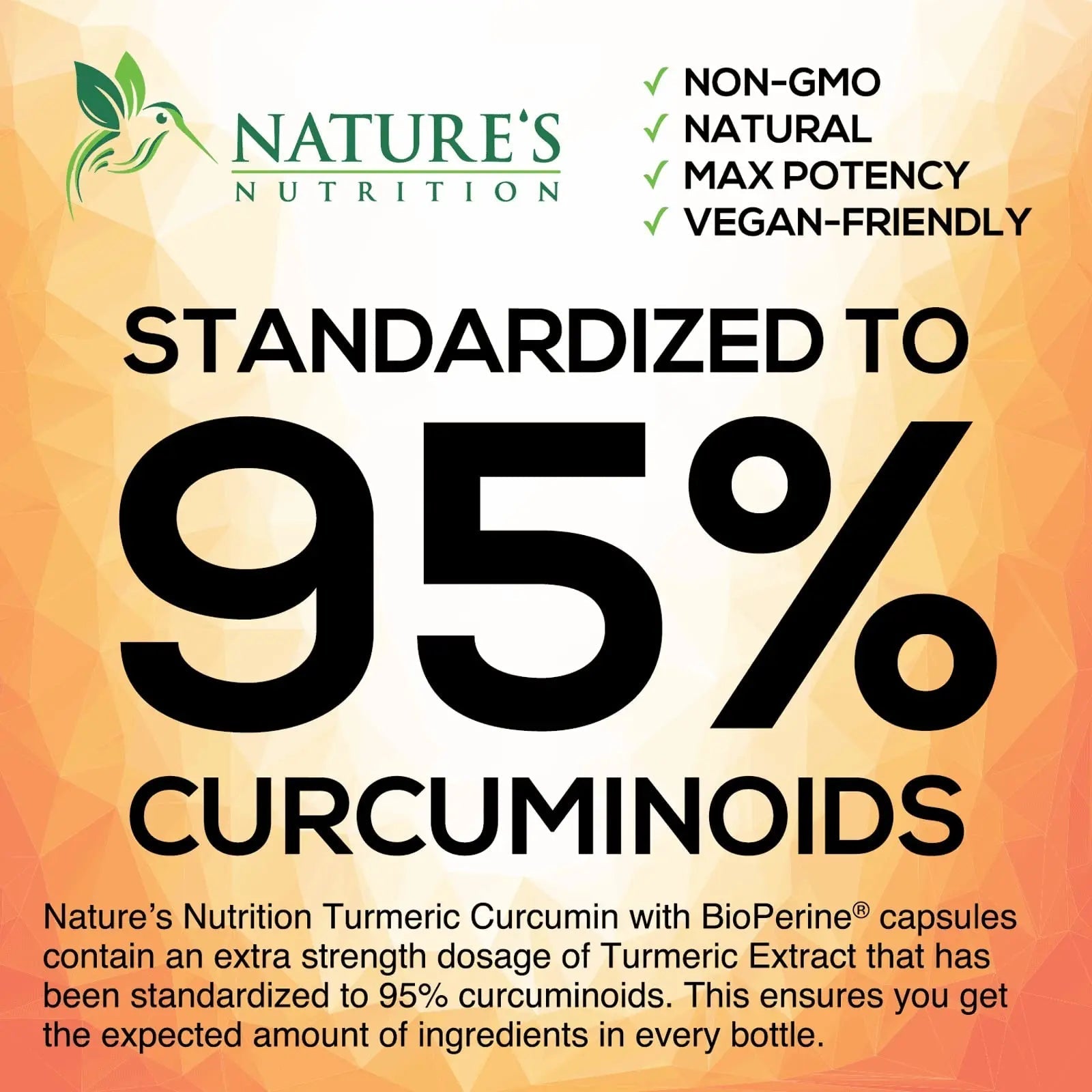 Turmeric Curcumin with BioPerine & Ginger 95% Standardized Curcuminoids - TrustMedUSA