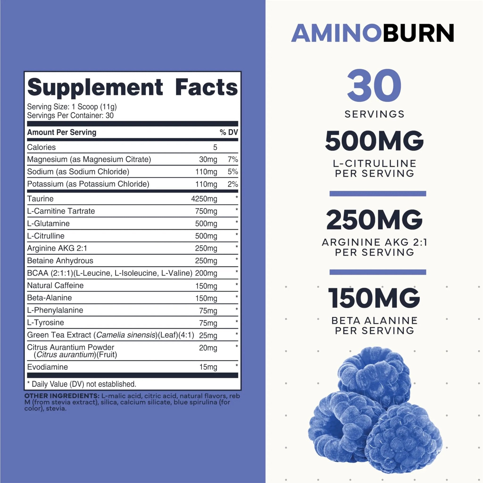 Type Zero Amino Burn - Vegan BCAA + Clean Pre Workout Powder with Arginine AKG, L-Citrulline & Beta Alanine - Amino Acid Clean Energy, Endurance & Hydration Supplement - Blue Raspberry, 30 Servings - TrustMedUSA