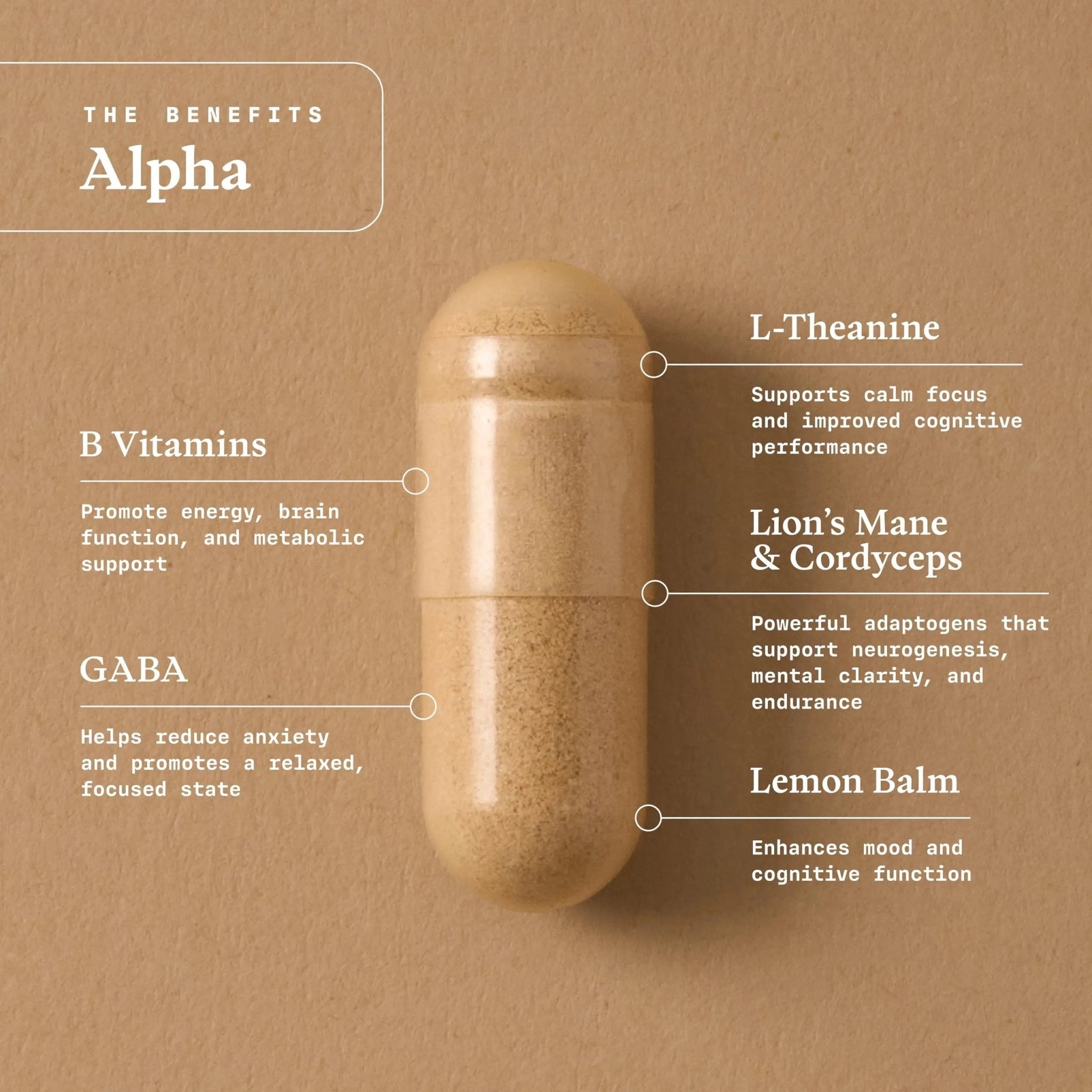 Ultra Life Sport - Alpha Nootropic - 30 Capsule Body and Brain Supplements for Memory and Focus - L-Theanine, B Vitamins, Lion's Mane, Cordyceps Mushrooms, Vitamin D3, K2 MK-7, Lemon Balm and Ginkgo - TrustMedUSA