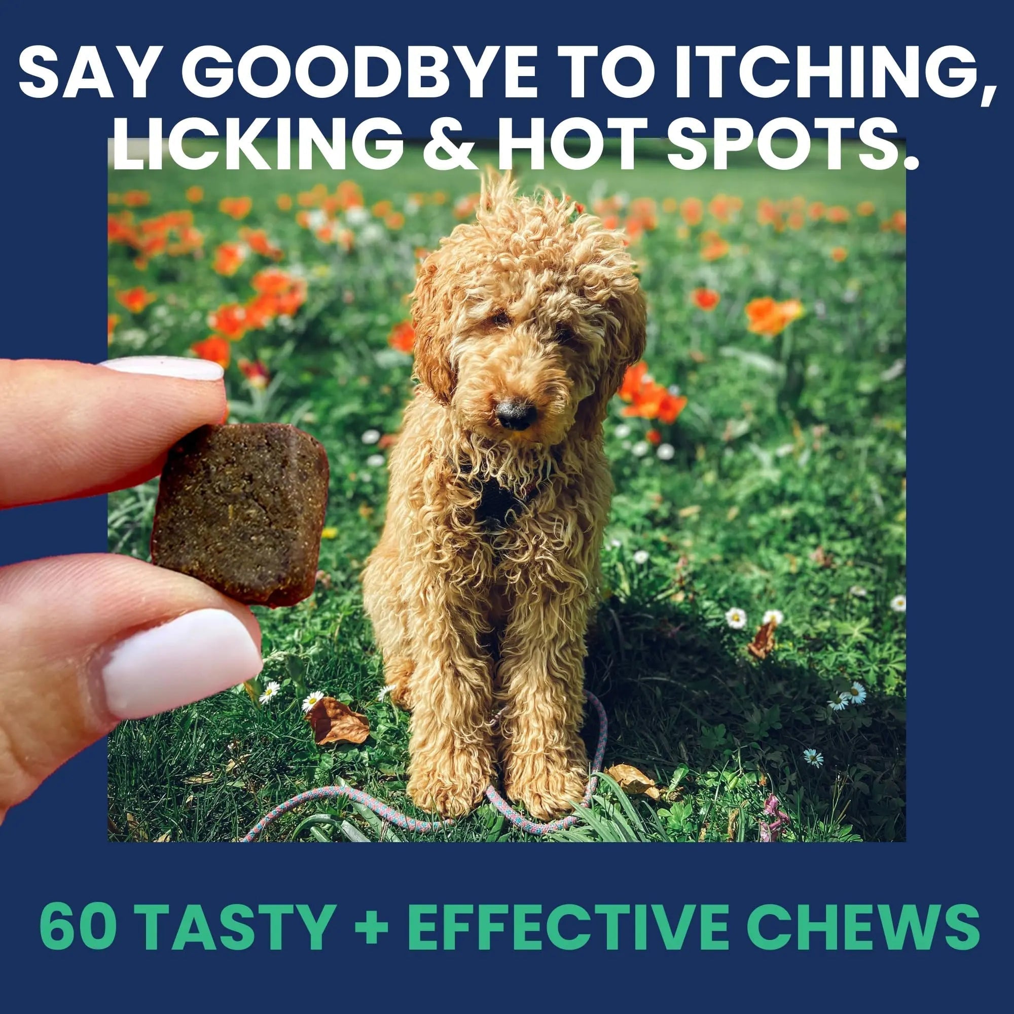 Under the Weather Allergy & Itch Pet Allergy Chews for Dogs | Vet Formulated Skin Support for Canines | Soothing Dog Allergies and Itching Relief Supplement | 60 Count - TrustMedUSA