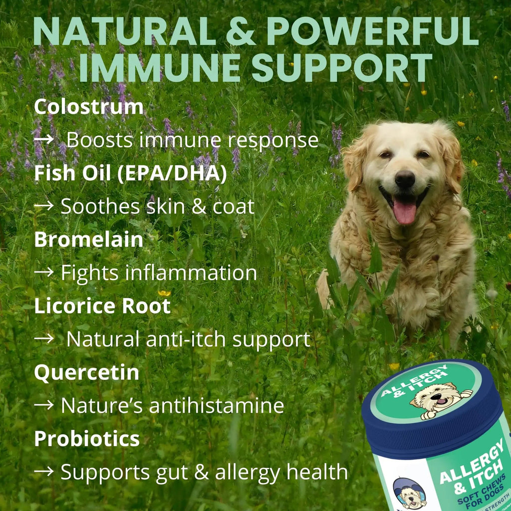 Under the Weather Allergy & Itch Pet Allergy Chews for Dogs | Vet Formulated Skin Support for Canines | Soothing Dog Allergies and Itching Relief Supplement | 60 Count - TrustMedUSA
