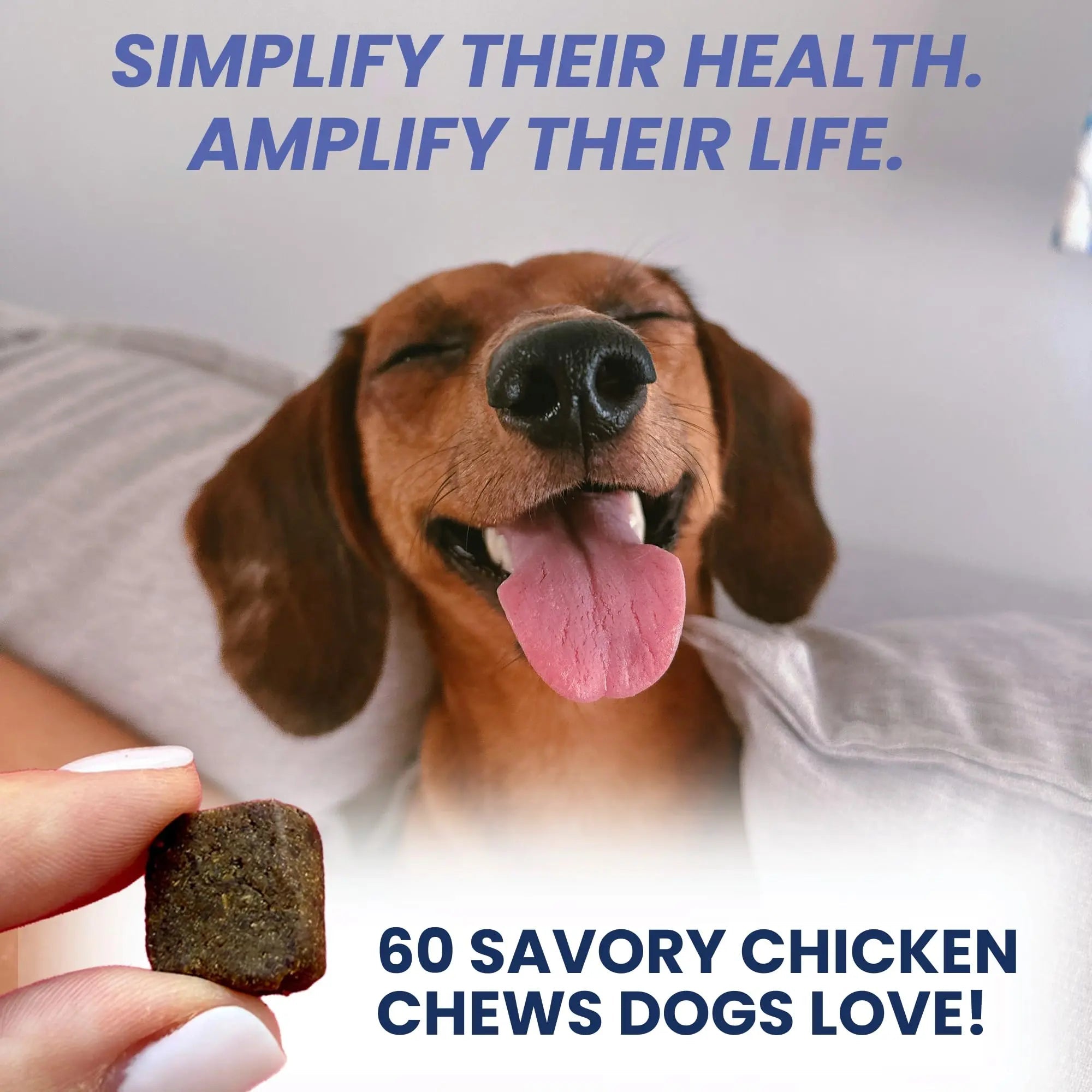 Under the Weather Multivitamin for Dogs | Vet Formulated Daily Canine Health Supplies for Immunity, Skin, Coat & Joint Support | All-in-One Multivitamin for Dogs of All Breeds & Sizes | 60 Count - TrustMedUSA