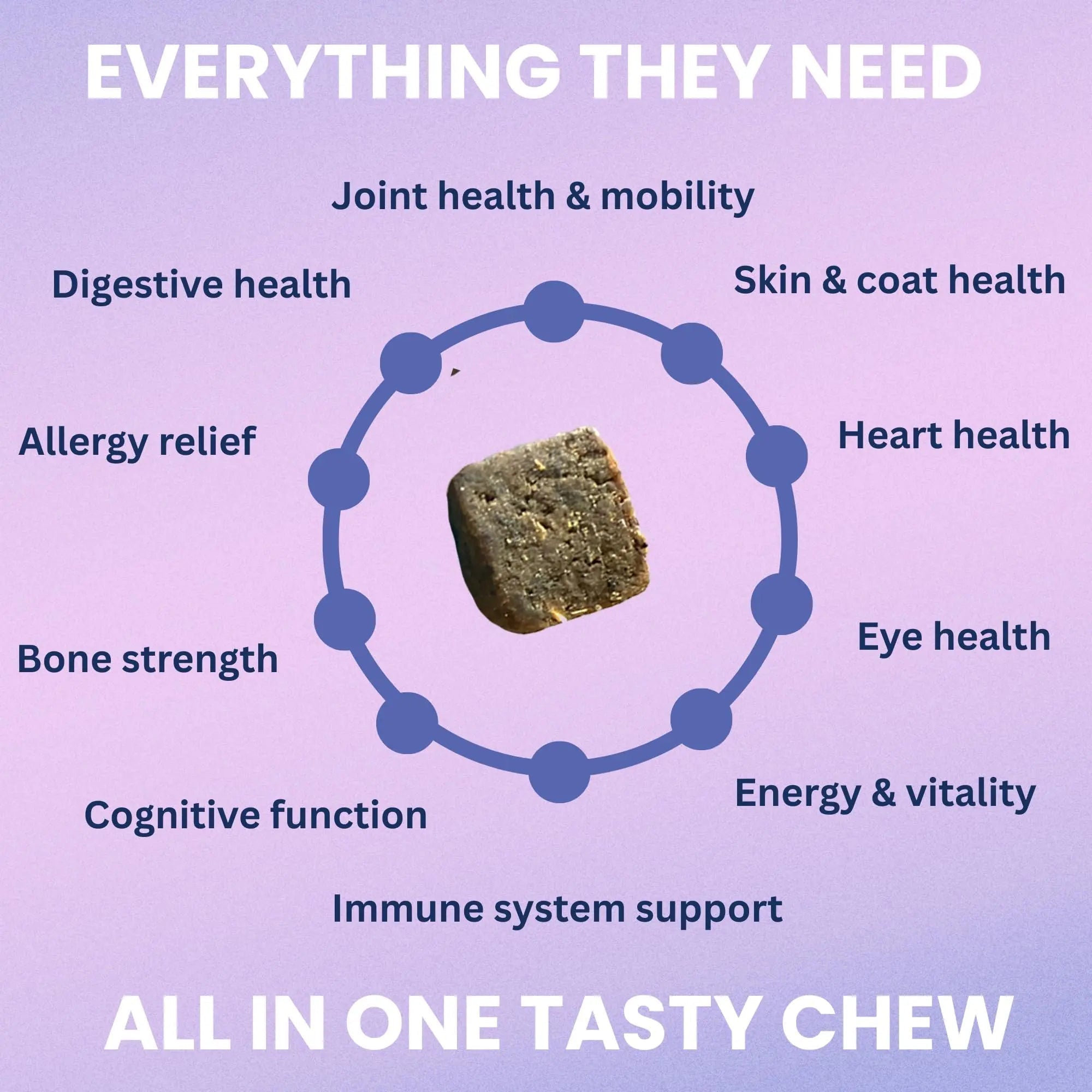 Under the Weather Multivitamin for Dogs | Vet Formulated Daily Canine Health Supplies for Immunity, Skin, Coat & Joint Support | All-in-One Multivitamin for Dogs of All Breeds & Sizes | 60 Count - TrustMedUSA