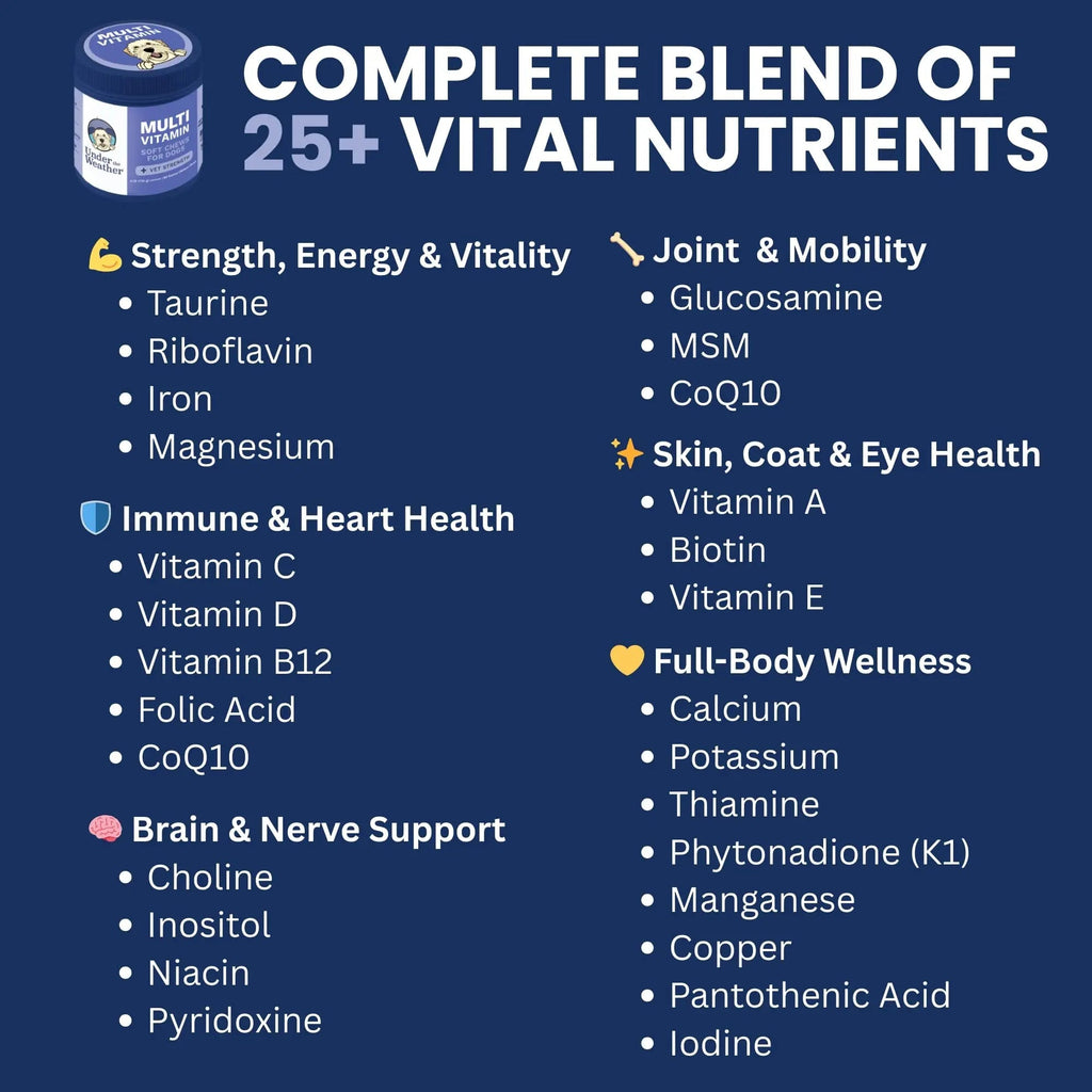 Under the Weather Multivitamin for Dogs | Vet Formulated Daily Canine Health Supplies for Immunity, Skin, Coat & Joint Support | All-in-One Multivitamin for Dogs of All Breeds & Sizes | 60 Count - TrustMedUSA
