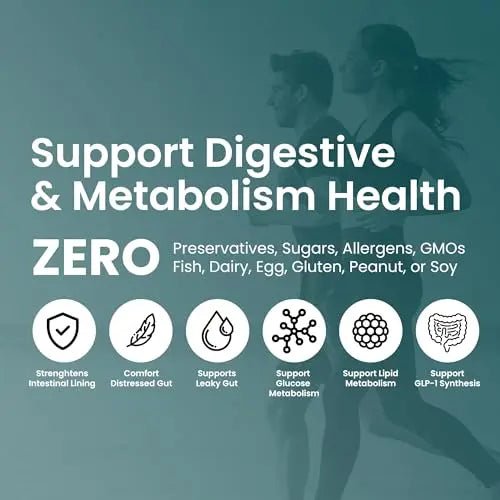 UpNourish Probiotics - 200 Billion CFUs, 15 Strains, Prebiotics & Enzymes - 60 Vegan Cap - TrustMedUSA