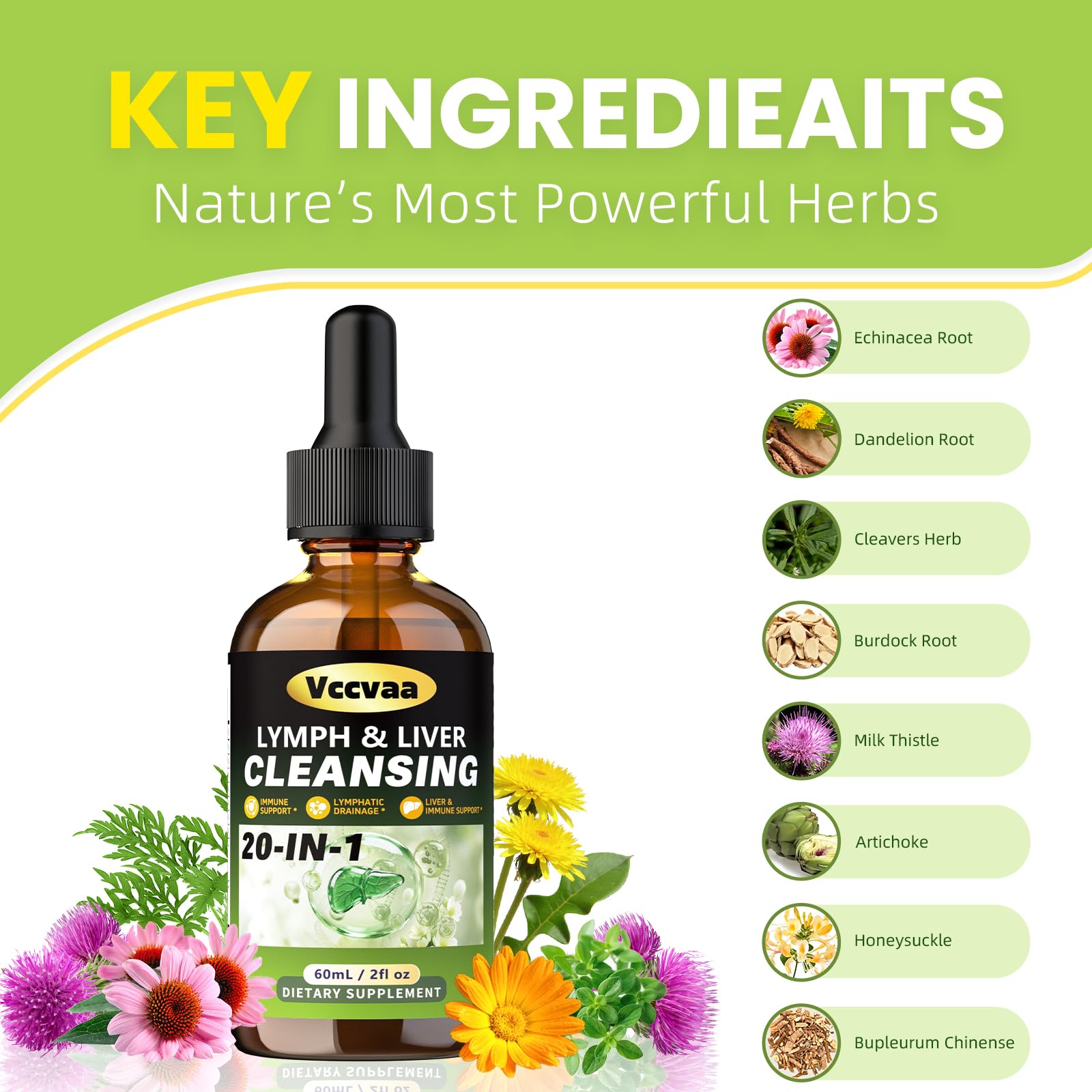 Vccvaa Lymph & Liver Cleanse - 20-in-1 Lymphatic Drainage & Liver Detox Supplement with Milk Thistle, Echinacea, Fucoxanthin - 60mL Liquid Formula for Immune & Digestive Support - Maple Wellness Supplements
