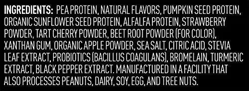 Vega Premium Sport Protein Berry Protein Powder, Vegan, Non GMO, Gluten Free Plant - TrustMedUSA