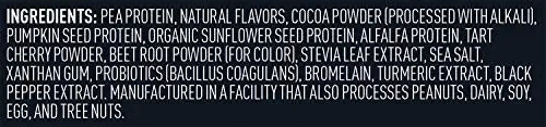 Vega Sport Premium Vegan Protein Powder, Chocolate - 30g Plant Based Protein, 5g BCAA - TrustMedUSA