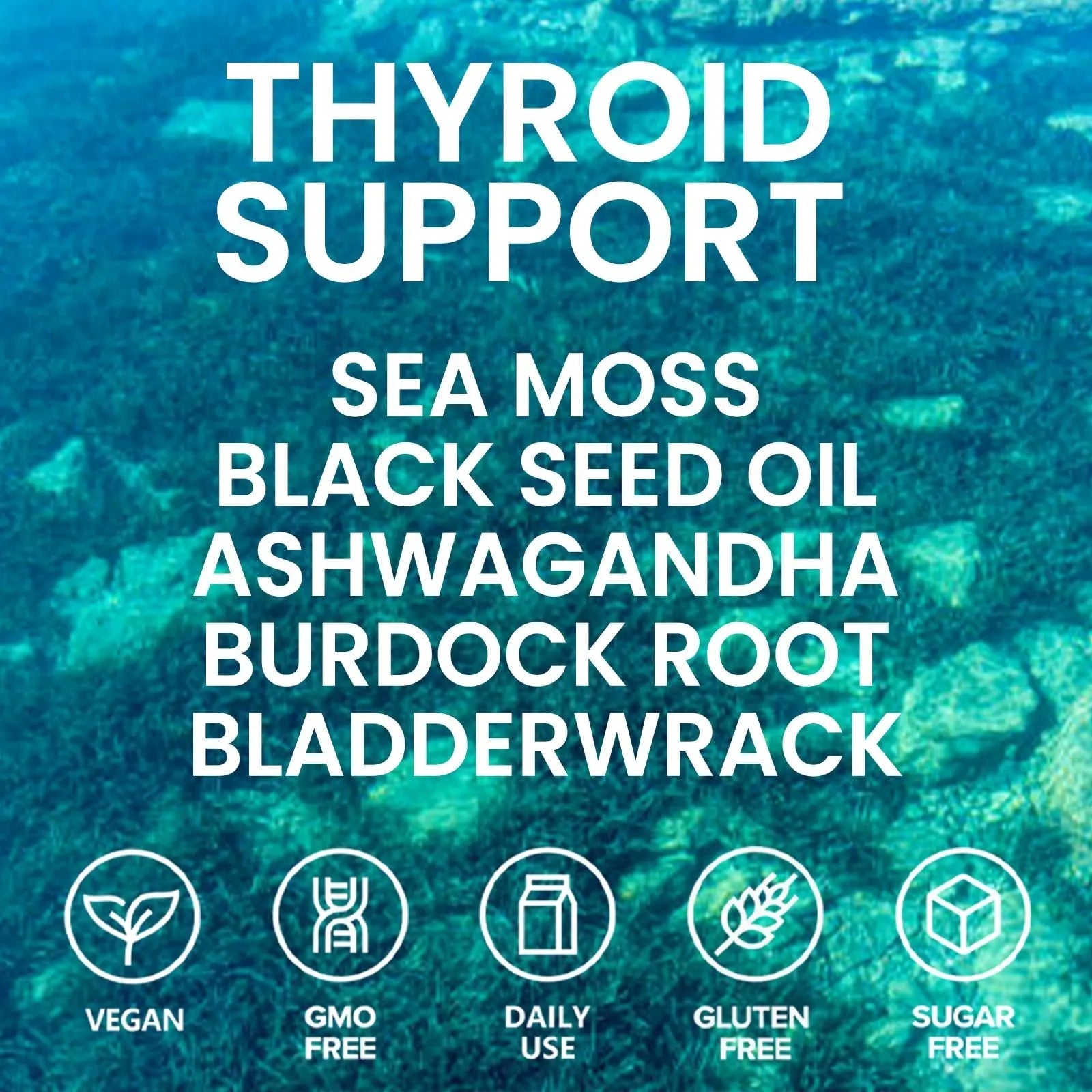 Velestoff Irish Seamoss Thyroid Hormone Regulator, Velestoff Thyroid Support Drops | Sea Moss, Black Seed Oil, Ashwagandha, Burdock Root, Bladderwrack, Hormone Balance & Support - 2 FL.OZ (1 Pcs) - TrustMedUSA