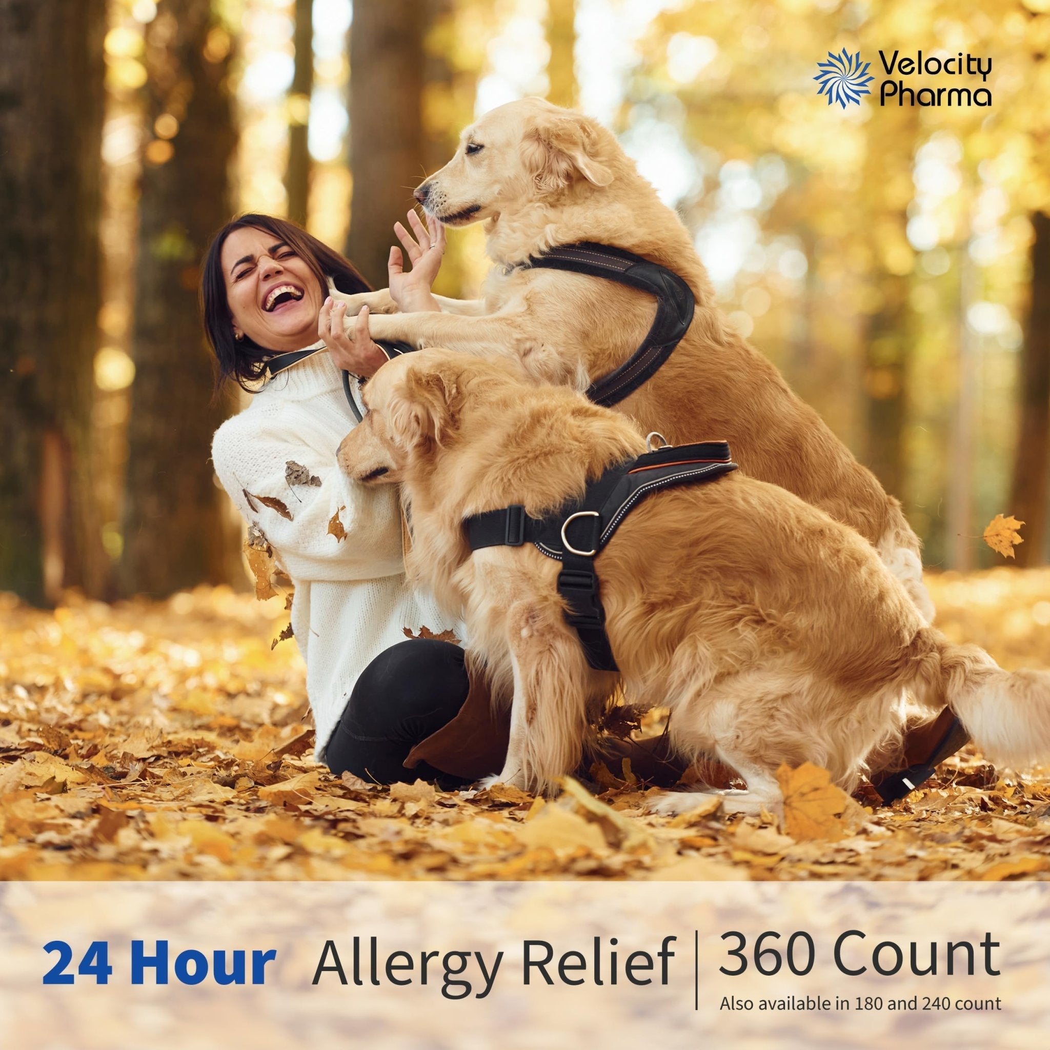 Velocity Pharma Levocetirizine Dihydrochloride 5mg USP Tablets, 24 Hour Allergy Relief Non-Drowsy Antihistamine, 360 Count - Maple Wellness Supplements