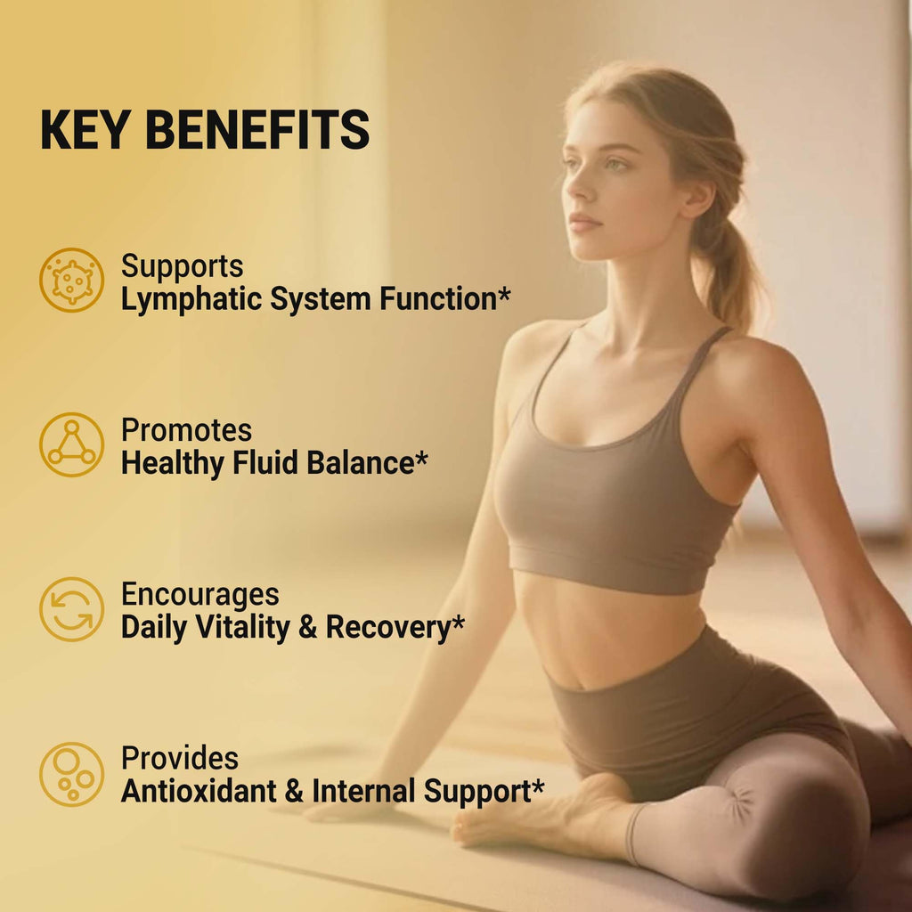 VerdiGusto 10,675mg Lymphatic Supplement | 25-in-1 Blend with Echinacea, Elderberry, Dandelion | 240 Softgels, 80 Day Supply | Lymph System Support | Soy Free, Non-GMO, Gluten Free - Maple Wellness Supplements