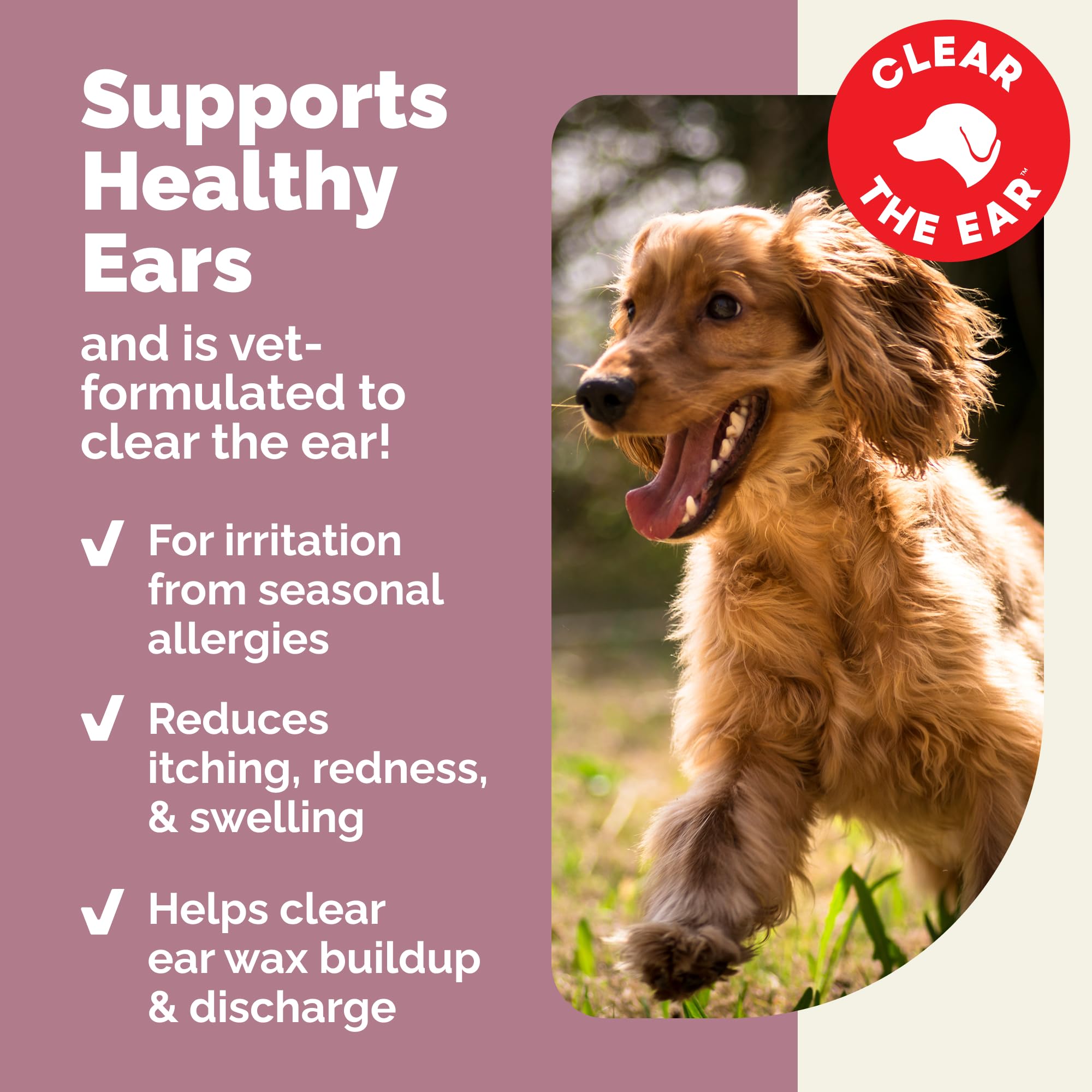 Vetnique Oticbliss Cat & Dog Ear Infection Treatment | Dog Ear Allergy Relief Drops, MicroSilver Yeast Infection Treatment for Dogs, Hydrocortisone for Itching, Redness Swelling (Ear Allergy Drops) - Maple Wellness Supplements