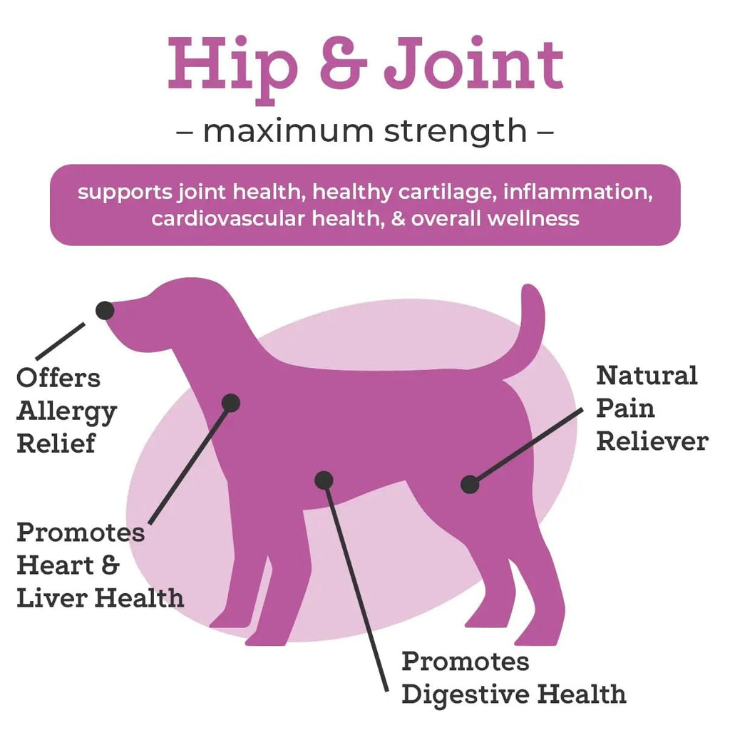 VetPro Dog Hip and Joint Supplement - Pain and Inflammation Relief Chews - TrustMedUSA
