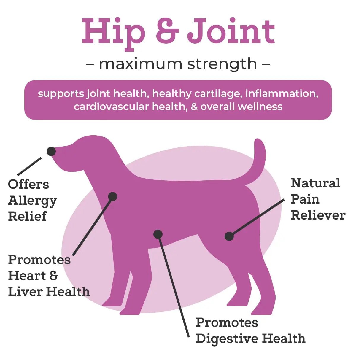 VetPro Dog Hip and Joint Supplement - Pain and Inflammation Relief Chews - TrustMedUSA