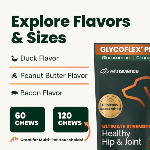 VetriScience Ultimate Strength Hip & Joint Supplement for Dogs, GlycoFlex Plus – MSM, Chondroitin & Green-Lipped Mussel Chews for Mobility, Flexibility, Comfort & Support, Peanut Butter Flavor 120 Cnt - TrustMedUSA