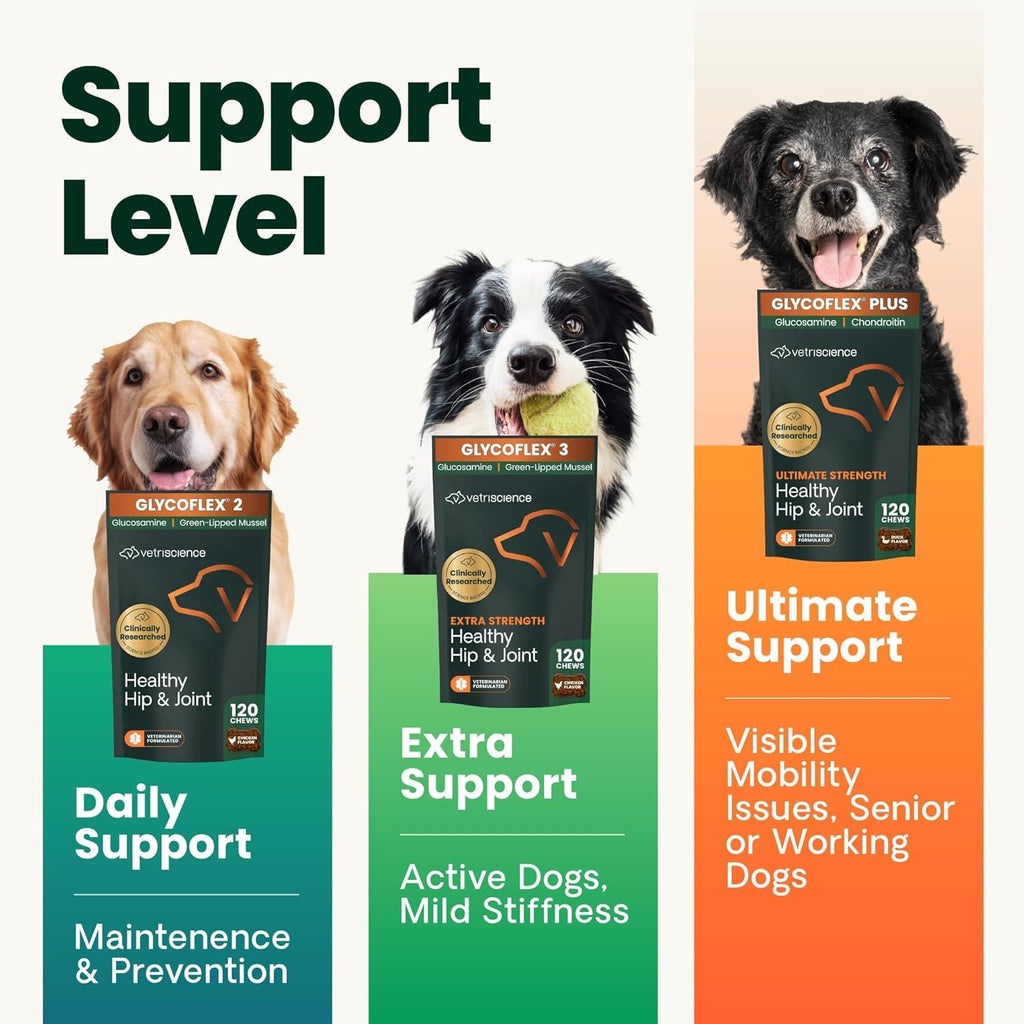 VetriScience Ultimate Strength Hip & Joint Supplement for Dogs, GlycoFlex Plus – MSM, Chondroitin & Green-Lipped Mussel Chews for Mobility, Flexibility, Comfort & Support, Peanut Butter Flavor 120 Cnt - TrustMedUSA