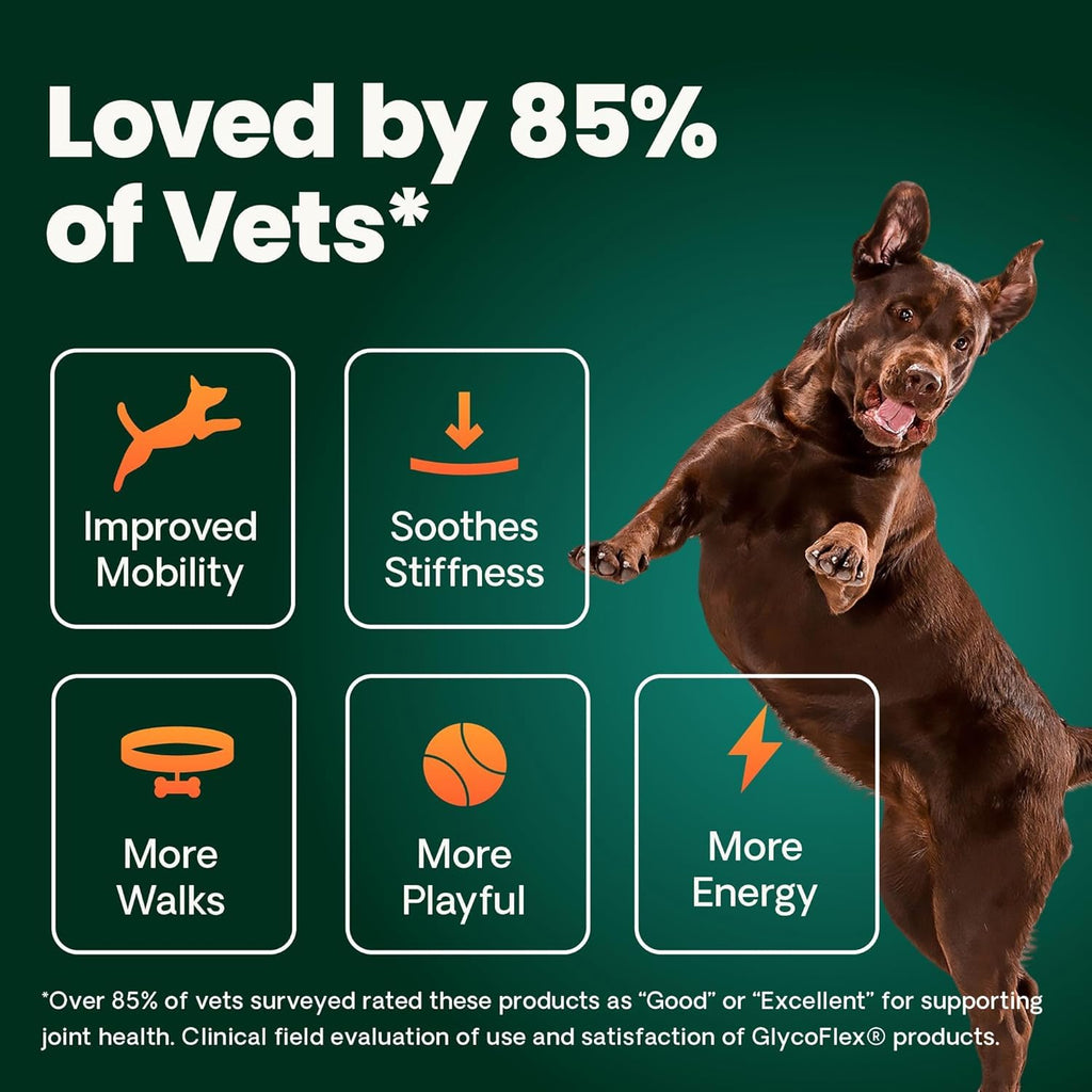 VetriScience Ultimate Strength Hip & Joint Supplement for Dogs, GlycoFlex Plus – MSM, Chondroitin & Green-Lipped Mussel Chews for Mobility, Flexibility, Comfort & Support, Peanut Butter Flavor 120 Cnt - TrustMedUSA