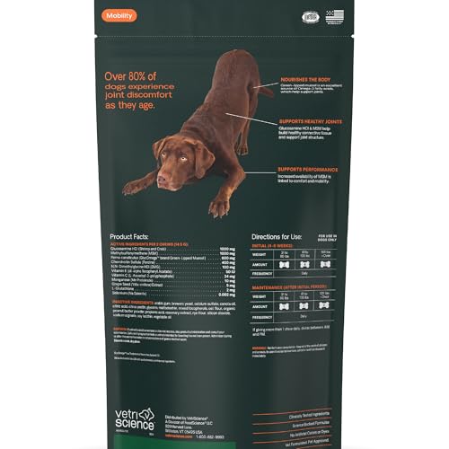 VetriScience Ultimate Strength Hip & Joint Supplement for Dogs, GlycoFlex Plus – MSM, Chondroitin & Green-Lipped Mussel Chews for Mobility, Flexibility, Comfort & Support, Peanut Butter Flavor 120 Cnt - TrustMedUSA