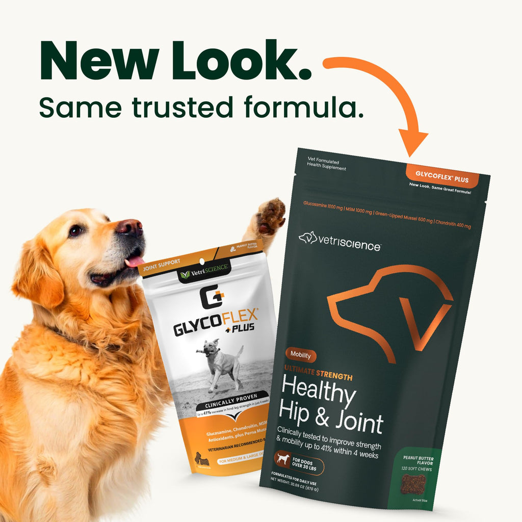 VetriScience Ultimate Strength Hip & Joint Supplement for Dogs, GlycoFlex Plus – MSM, Chondroitin & Green-Lipped Mussel Chews for Mobility, Flexibility, Comfort & Support, Peanut Butter Flavor 120 Cnt - TrustMedUSA