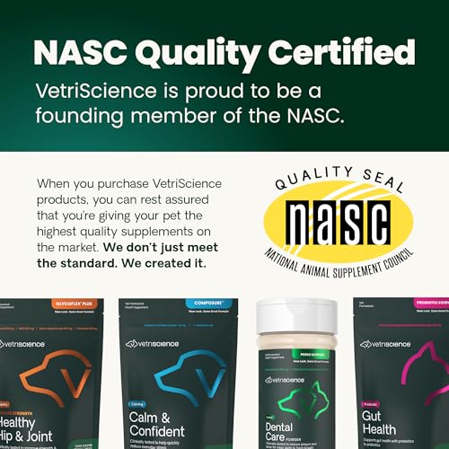 VetriScience Ultimate Strength Hip & Joint Supplement for Dogs, GlycoFlex Plus – MSM, Chondroitin & Green-Lipped Mussel Chews for Mobility, Flexibility, Comfort & Support, Peanut Butter Flavor 120 Cnt - TrustMedUSA