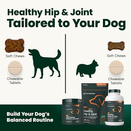 VetriScience Ultimate Strength Hip & Joint Supplement for Dogs, GlycoFlex Plus – MSM, Chondroitin & Green-Lipped Mussel Chews for Mobility, Flexibility, Comfort & Support, Peanut Butter Flavor 120 Cnt - TrustMedUSA
