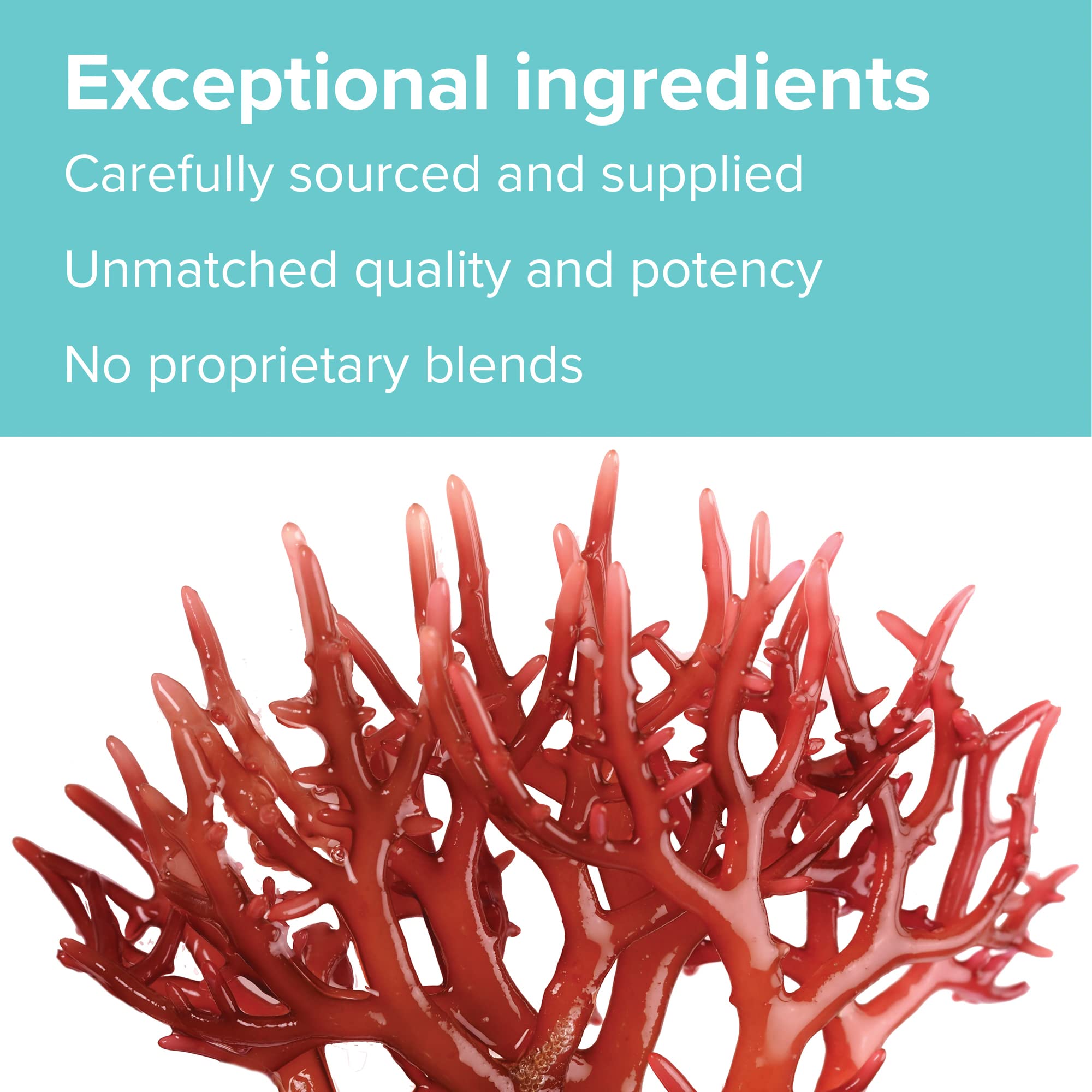 Vibrant Health, Gigartina Red Marine Algae, Plant-Based Immune Support, 60 Capsules - TrustMedUSA
