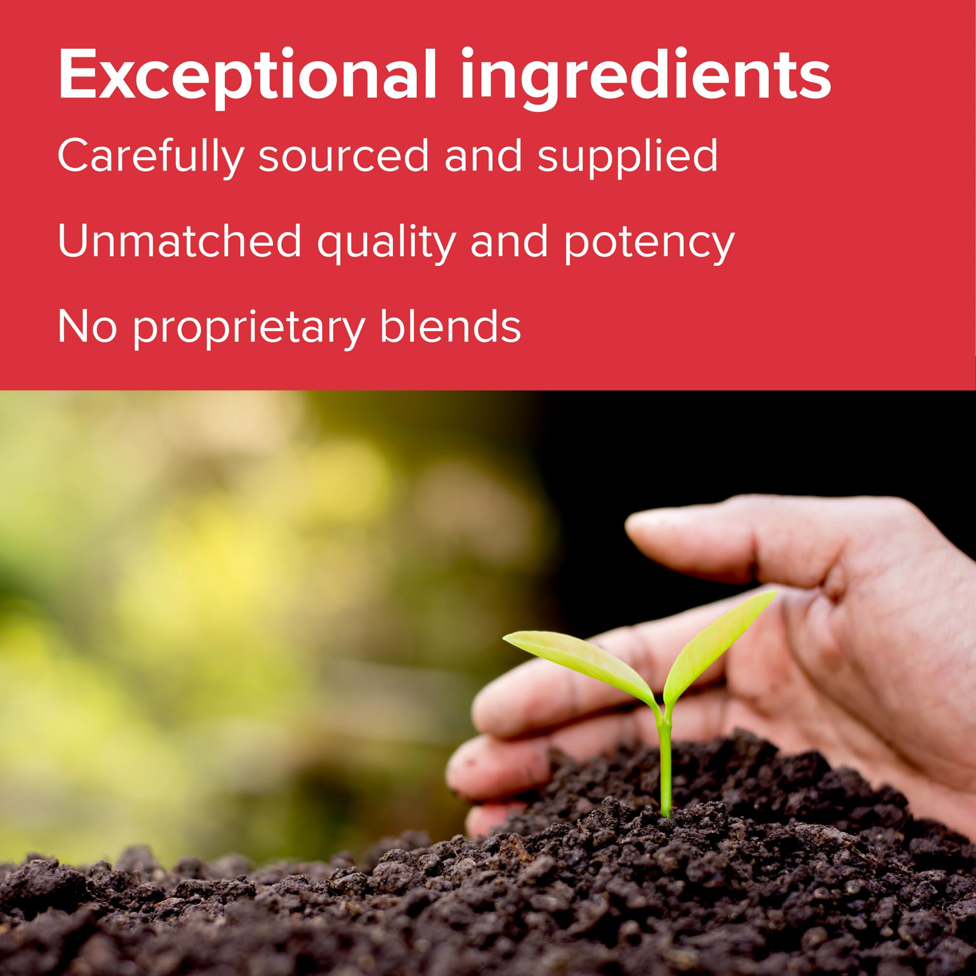 Vibrant Health - Super Natural Boron, Support for Healthy Joints, Hormone Levels, and Connective Tissue with Calcium Fructoborate and Broccoli Powder, Gluten Free, Vegetarian, Non-GMO, 60 Count - TrustMedUSA