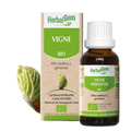 Vigne BIO Macérat mère bourgeons Flacon 30 ml HERBALGEM - TrustMedUSA