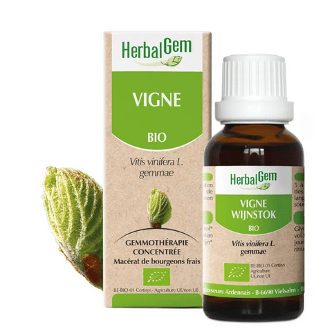 Vigne BIO Macérat mère bourgeons Flacon 30 ml HERBALGEM - TrustMedUSA
