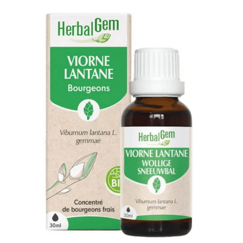 Viorne BIO Macérat mère Flacon 30 ml HERBALGEM - TrustMedUSA