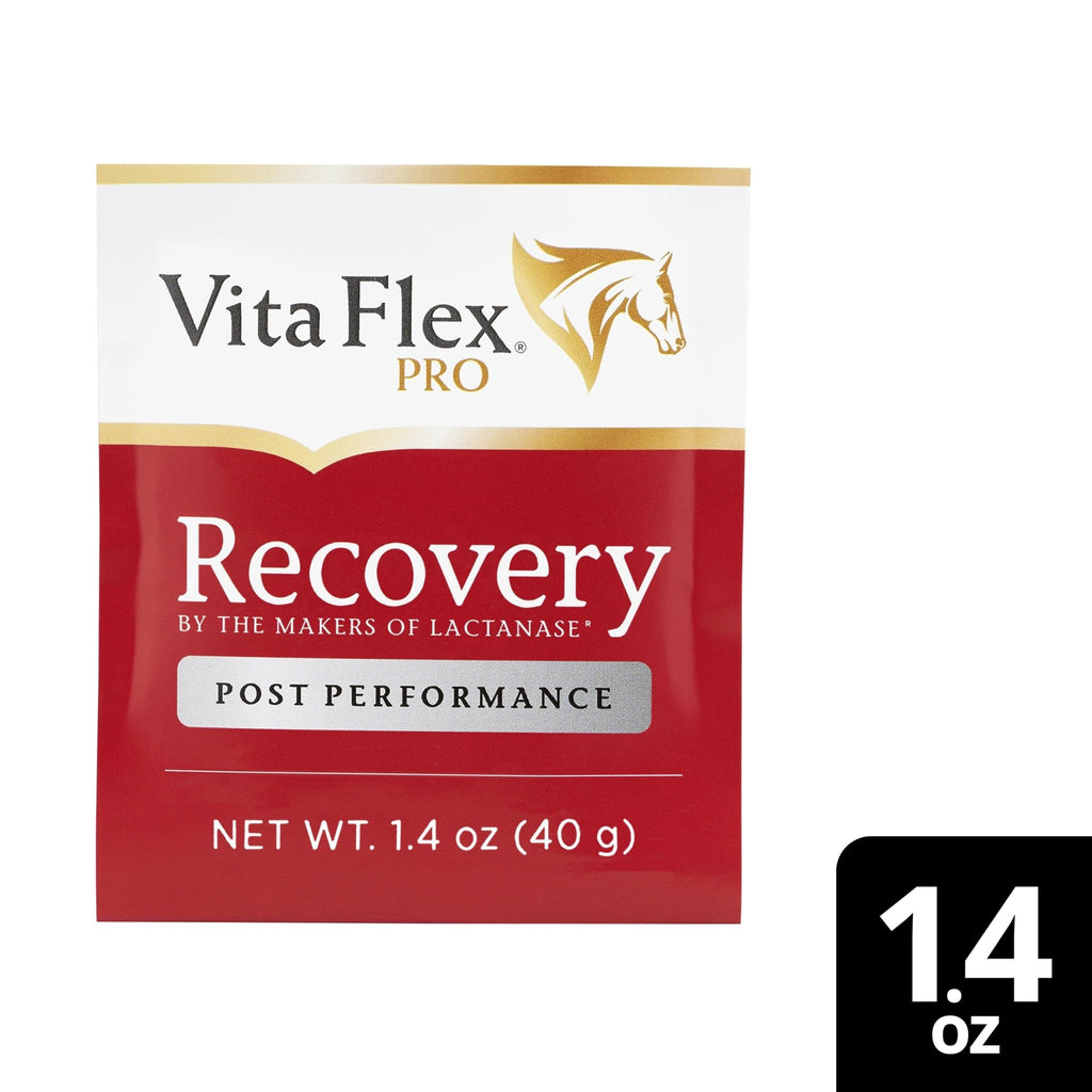 Vita Flex Pro Recovery by the Makers of Lactanase, Post Performance Horse Supplements 40 g, Show Safe Muscle Recovery Supplements, Amino Acids for Horses, Strength & Joint Health - TrustMedUSA
