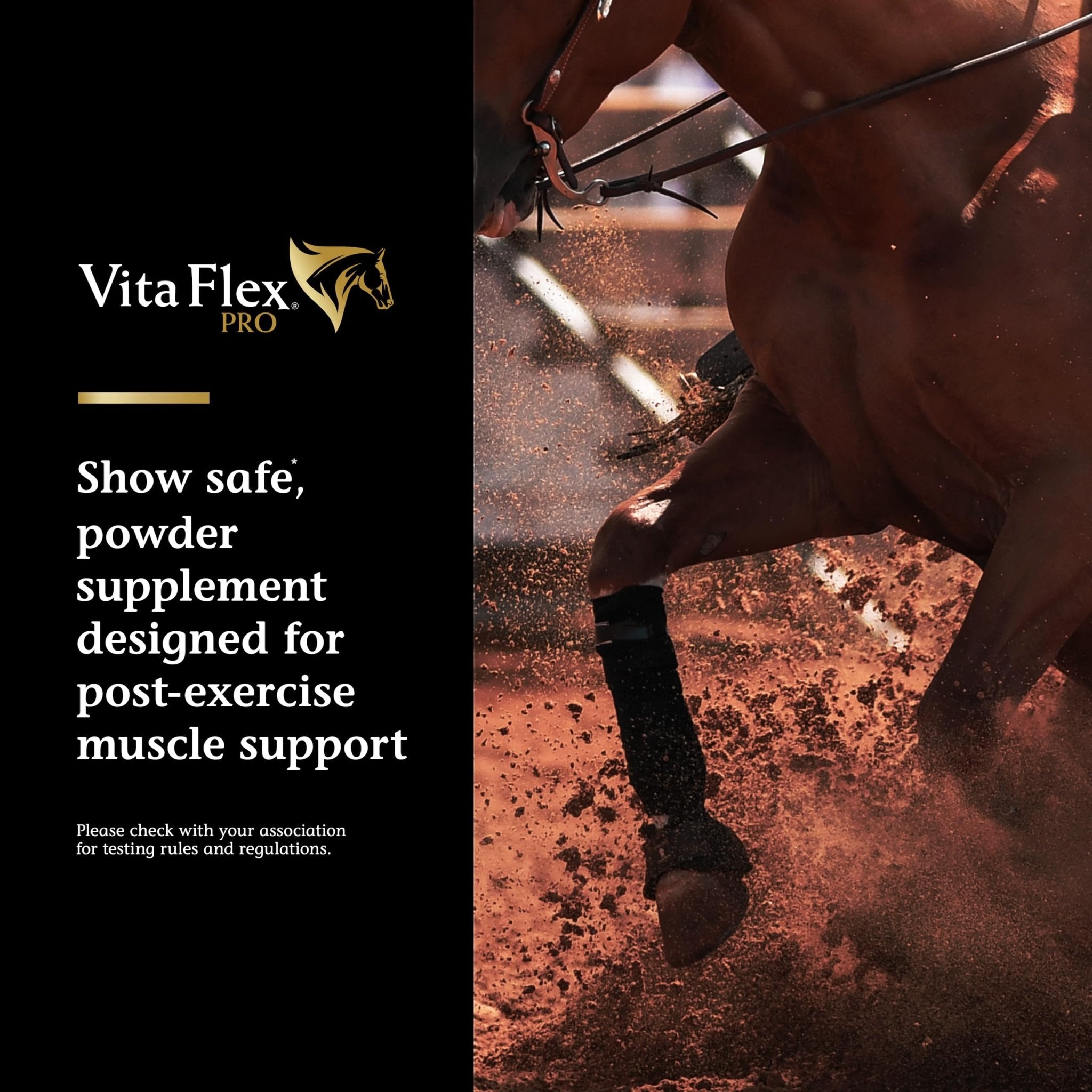 Vita Flex Pro Recovery by the Makers of Lactanase, Post Performance Horse Supplements 40 g, Show Safe Muscle Recovery Supplements, Amino Acids for Horses, Strength & Joint Health - TrustMedUSA