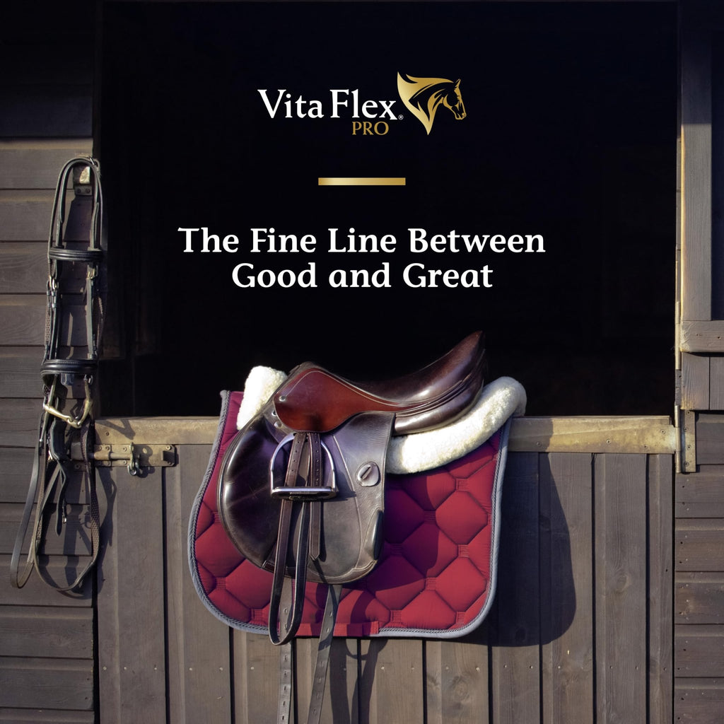 Vita Flex Pro Recovery by the Makers of Lactanase, Post Performance Horse Supplements 40 g, Show Safe Muscle Recovery Supplements, Amino Acids for Horses, Strength & Joint Health - TrustMedUSA